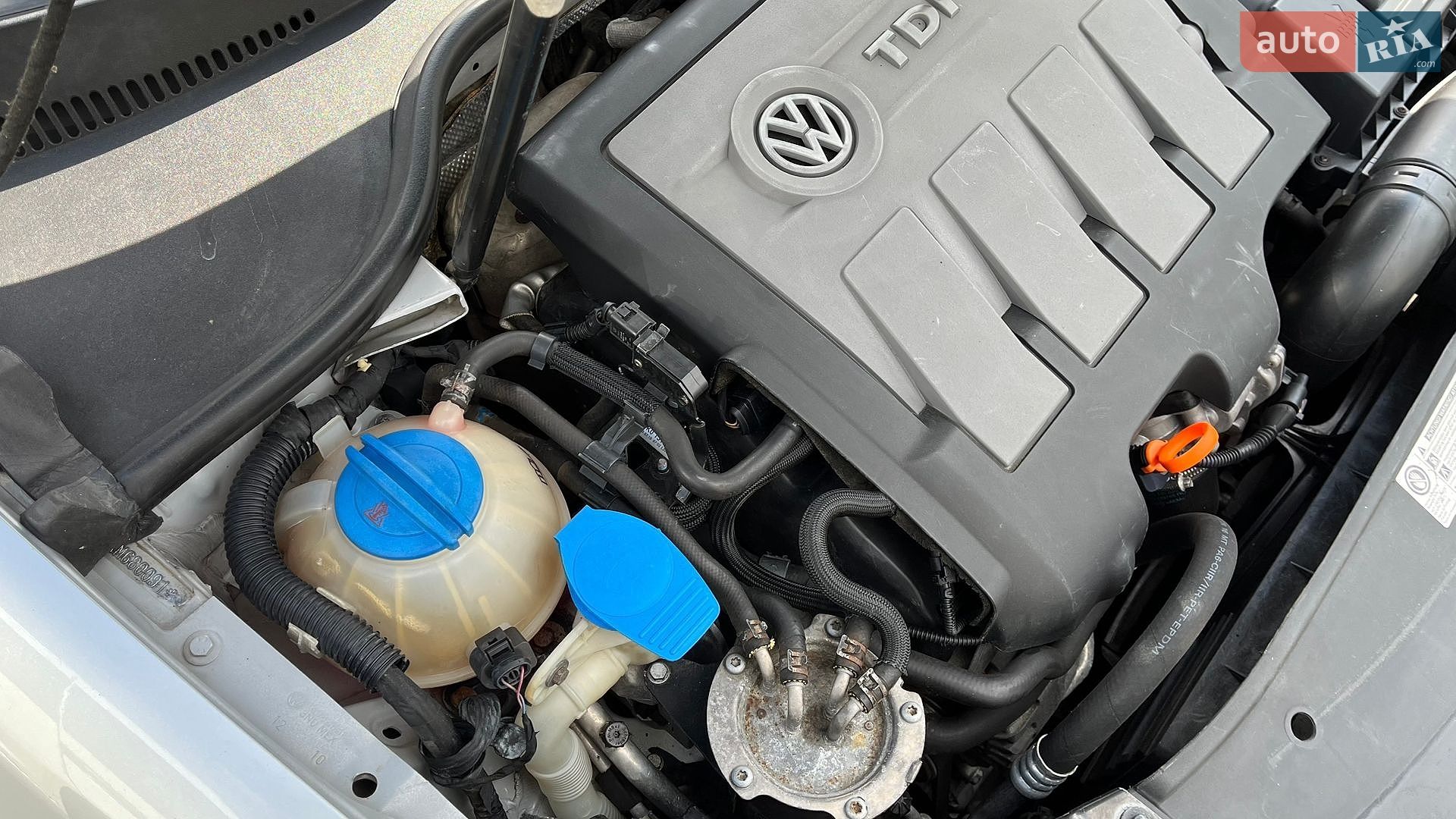 Volkswagen Golf 2010 VIN WVWZZZ1KZAM680091 фото оголошення 79 з 93