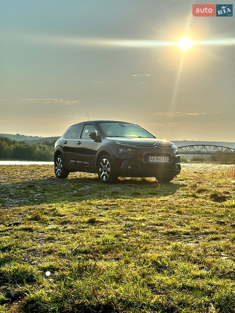 Citroen C4 Cactus 2019 VIN VF70BYHXXKE503923 фото оголошення 10 з 10