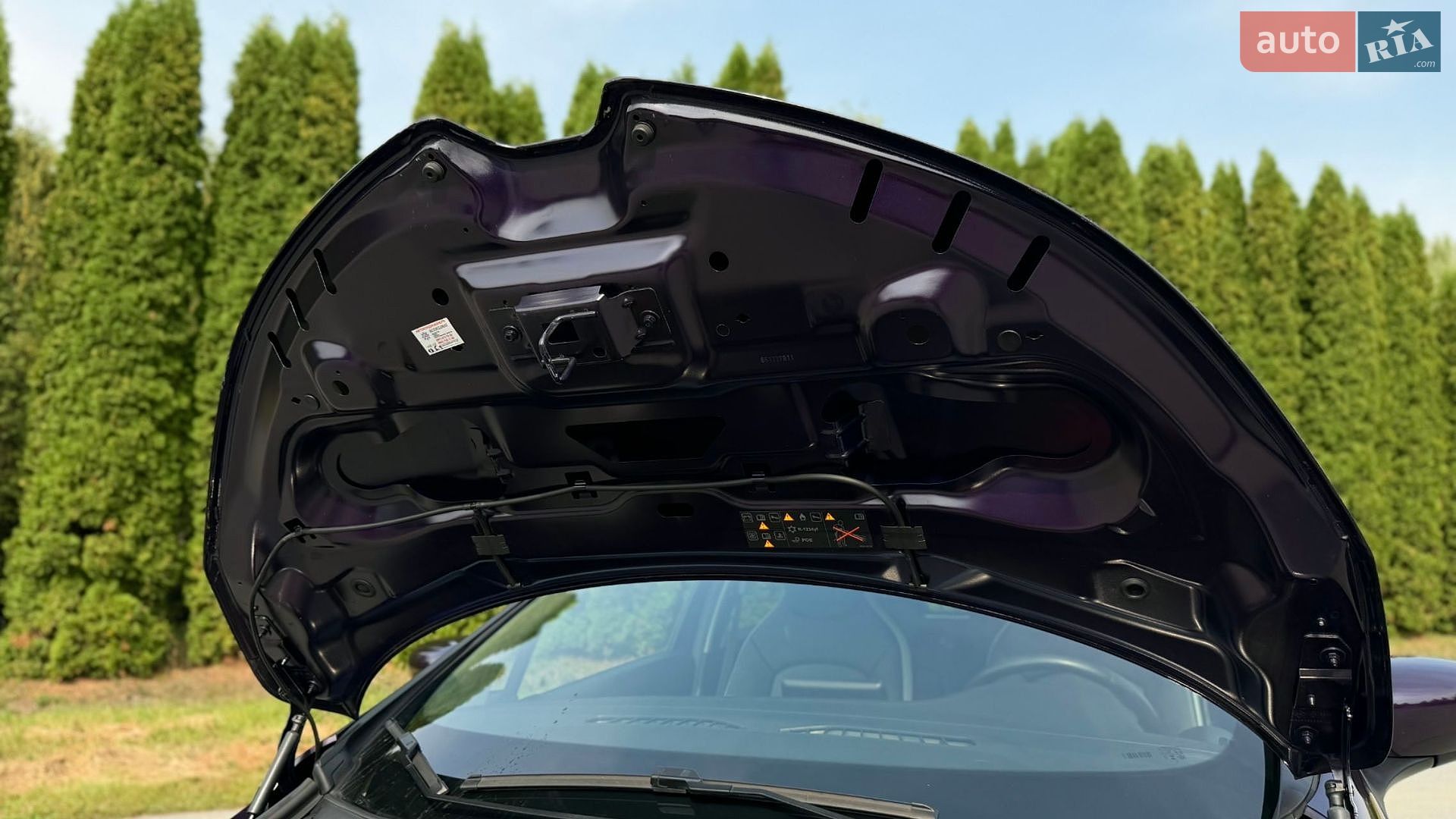 Renault Zoe 2020 VIN VF1AG000066065774 фото оголошення 64 з 67