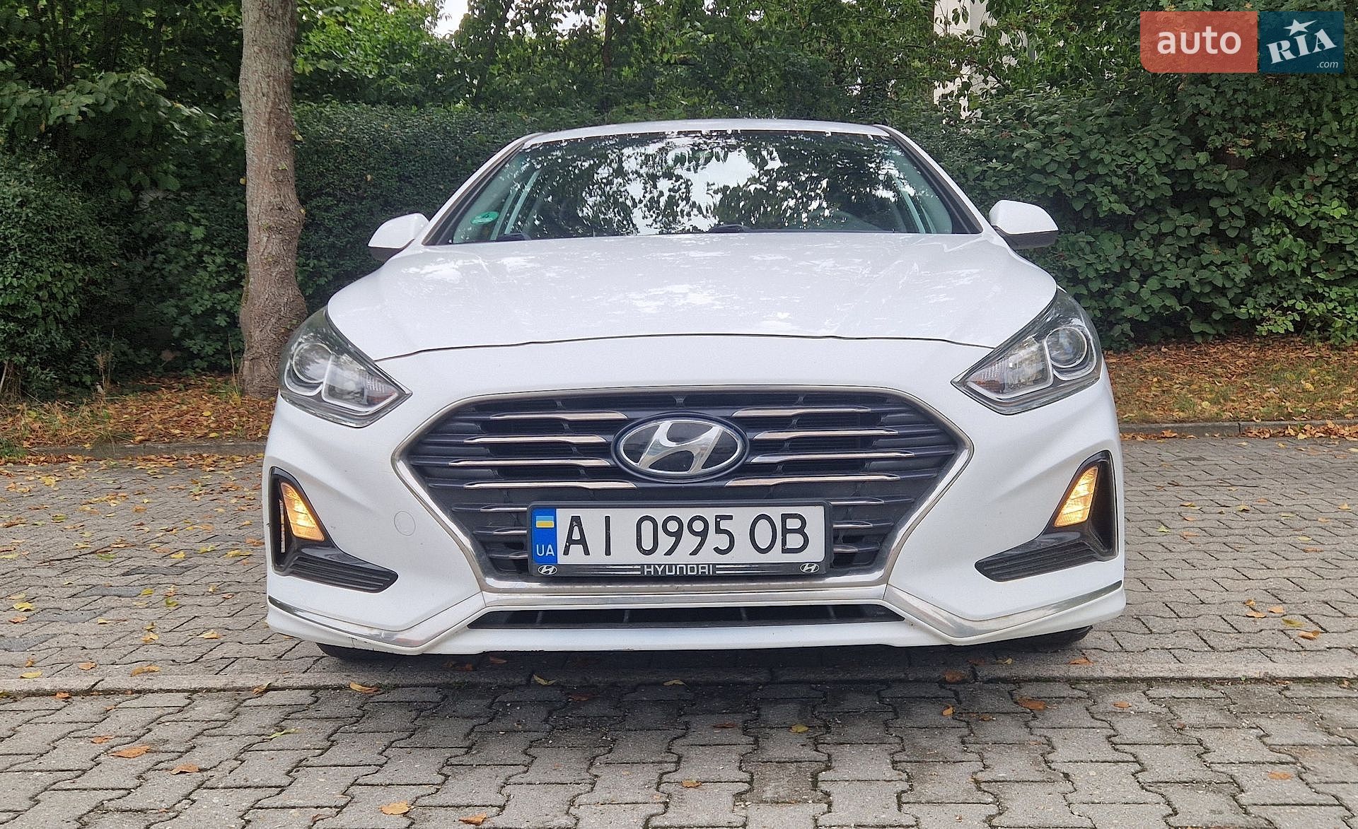 Hyundai Sonata 2019 VIN KMHE341DBLA581572 фото оголошення 13 з 24