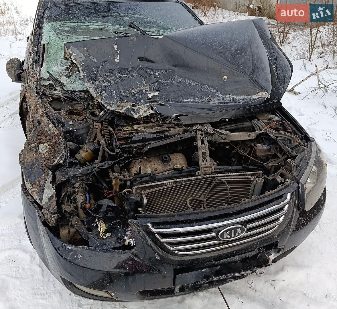 KIA Cerato 2007 VIN Y6LFE22327L003567 фото оголошення 6 з 6
