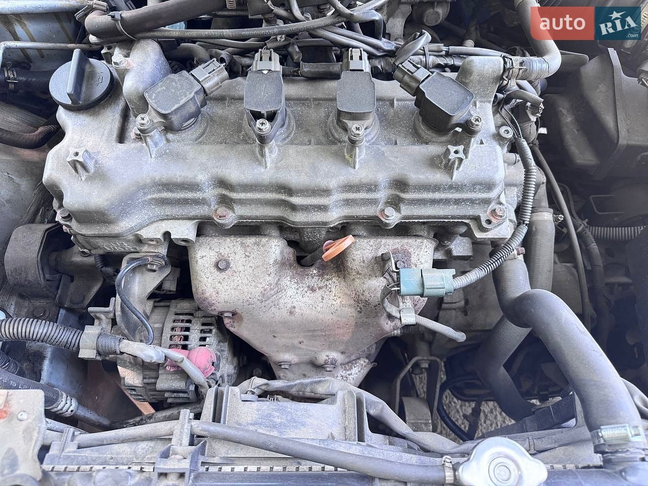 Nissan Almera 2006 VIN SJNBBAN16U2665135 фото оголошення 6 з 13