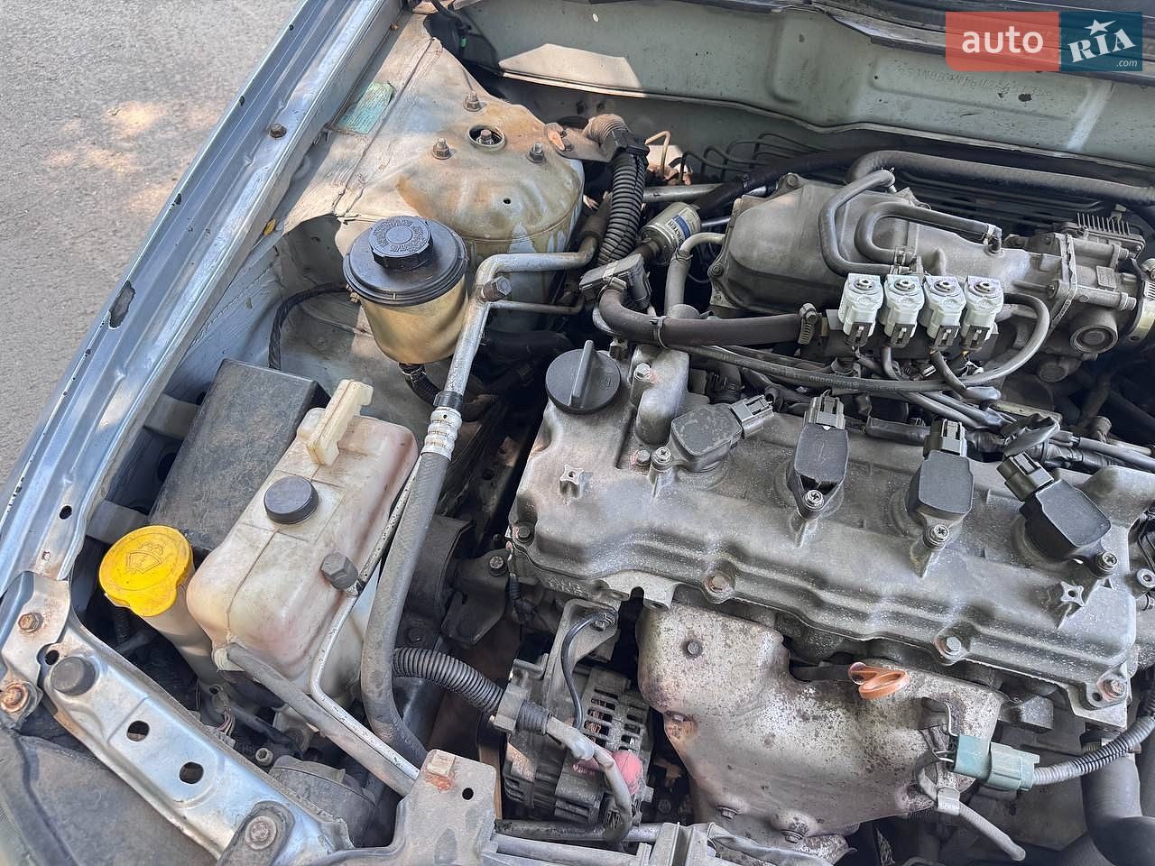 Nissan Almera 2006 VIN SJNBBAN16U2665135 фото оголошення 8 з 13