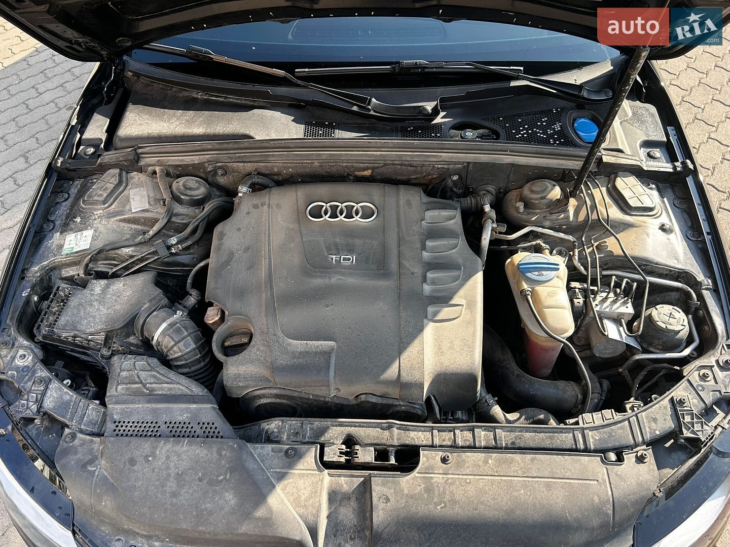 Audi A4 2009 VIN WAUZZZ8K8AA104302 фото оголошення 23 з 31