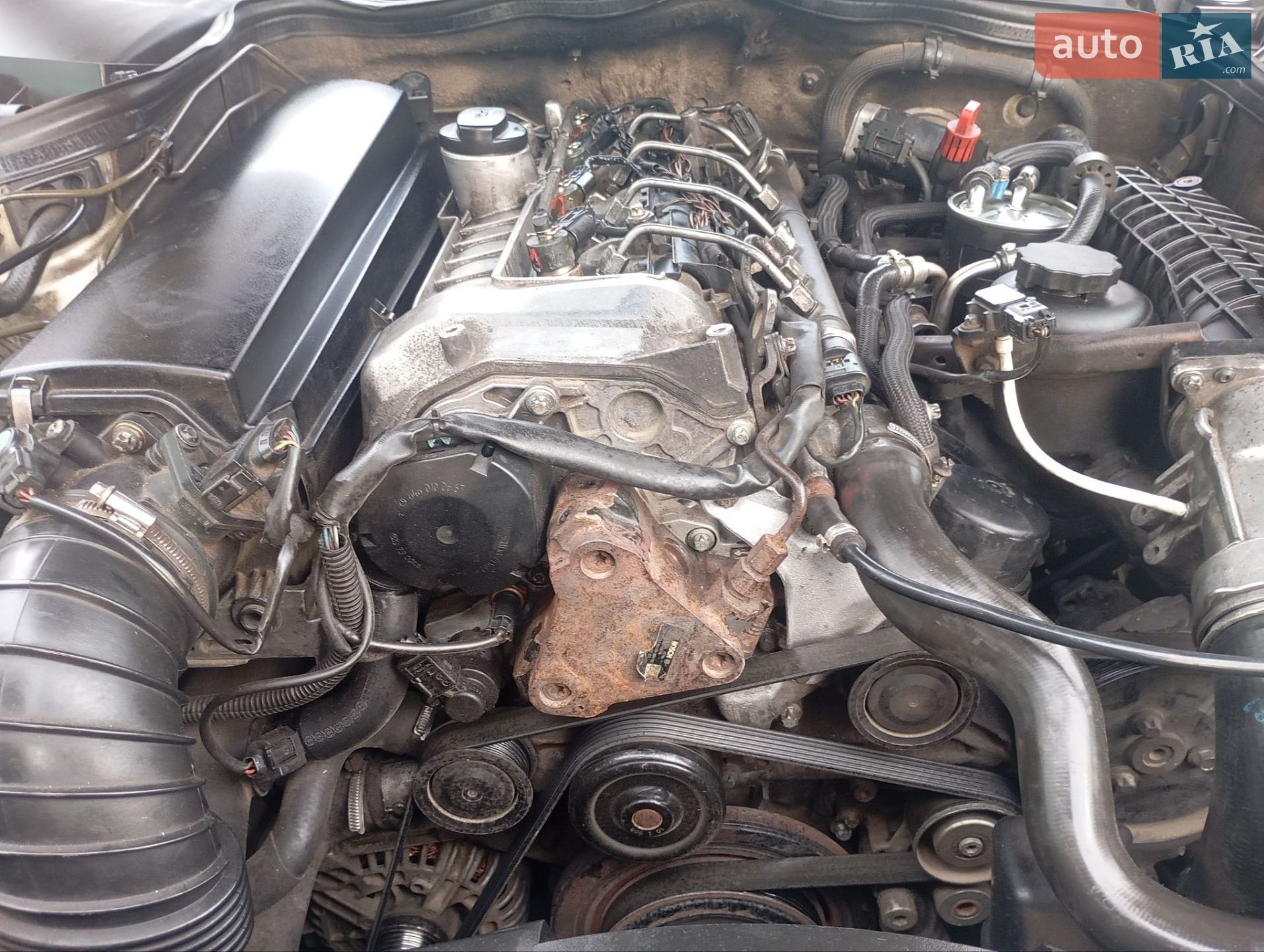 Mercedes-Benz E-Class 2003 VIN WDB2110061X102434 фото оголошення 9 з 28