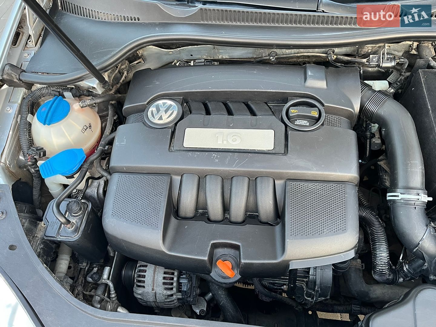 Volkswagen Golf 2008 VIN WVWZZZ1KZ8P122359 фото оголошення 56 з 57