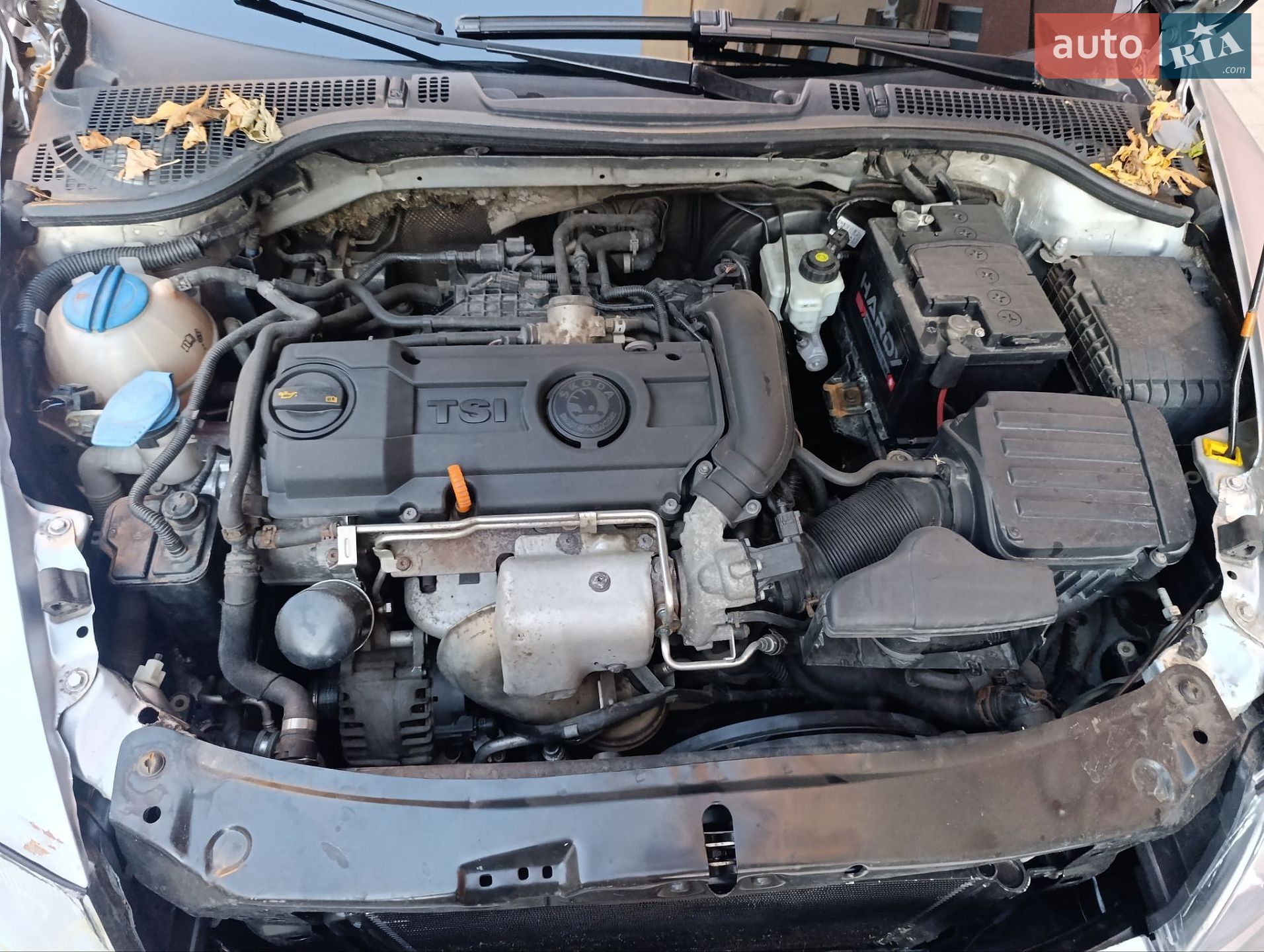 Skoda Octavia 2010 VIN TMBJJ21Z0B2038863 фото оголошення 22 з 23