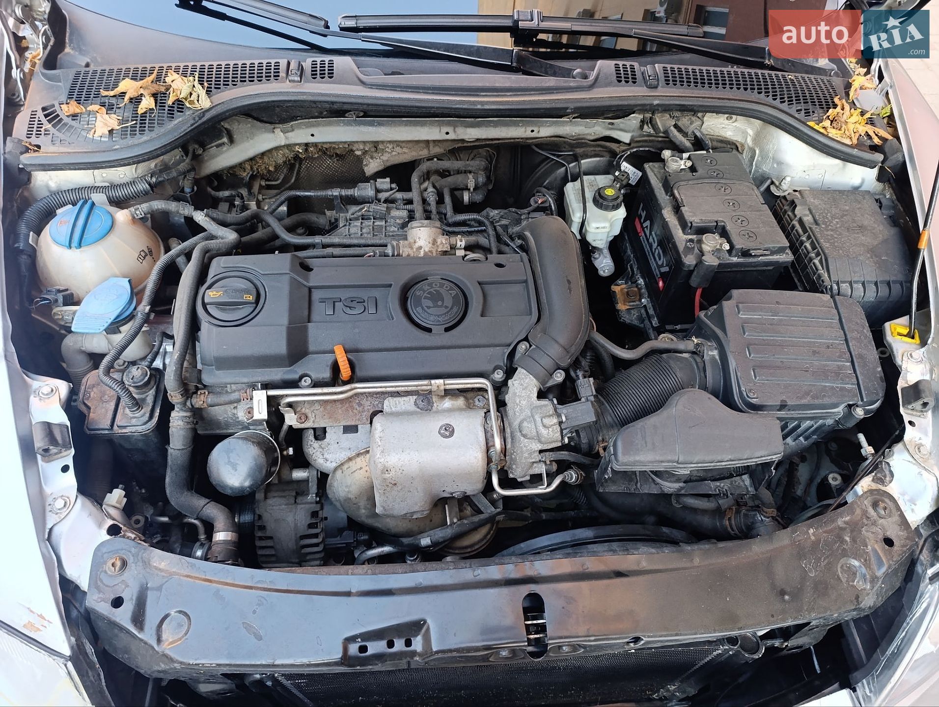 Skoda Octavia 2010 VIN TMBJJ21Z0B2038863 фото оголошення 21 з 23