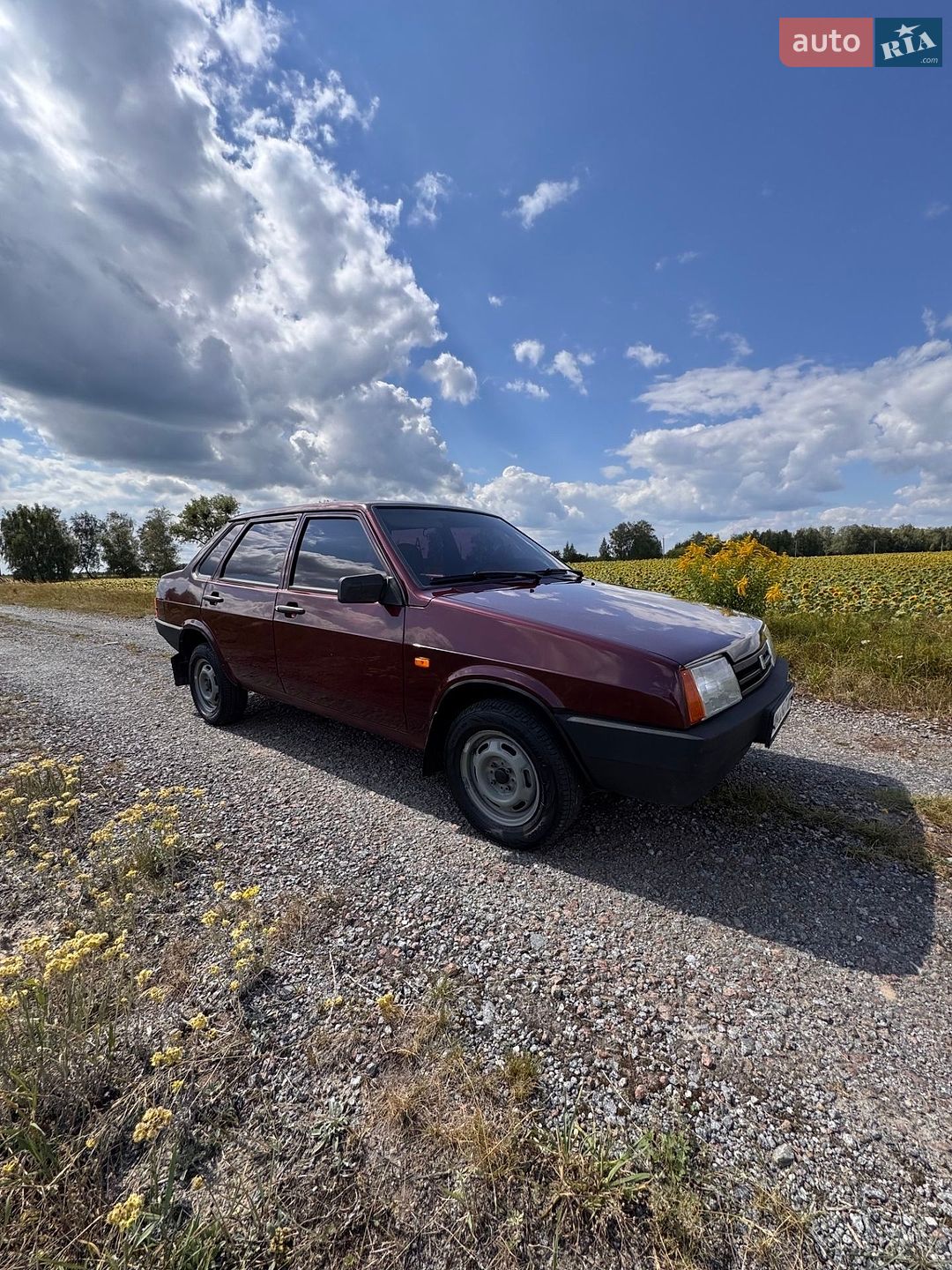 ВАЗ / Lada 21099 2006 VIN Y6D21099060028038 фото оголошення 7 з 9
