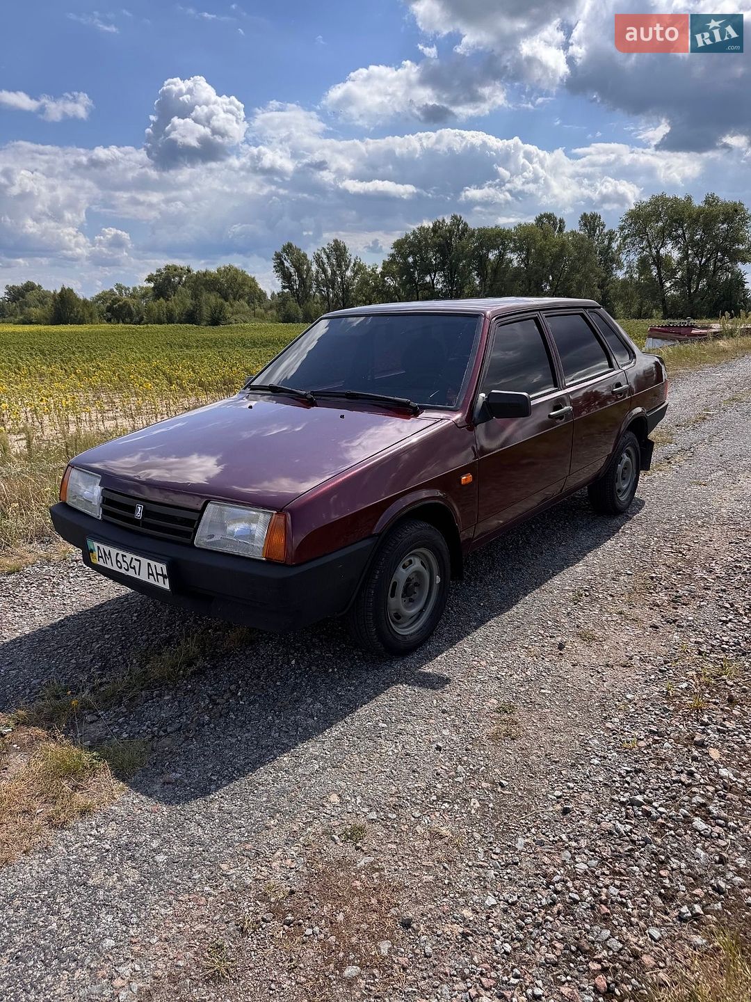 ВАЗ / Lada 21099 2006 VIN Y6D21099060028038 фото оголошення 6 з 9