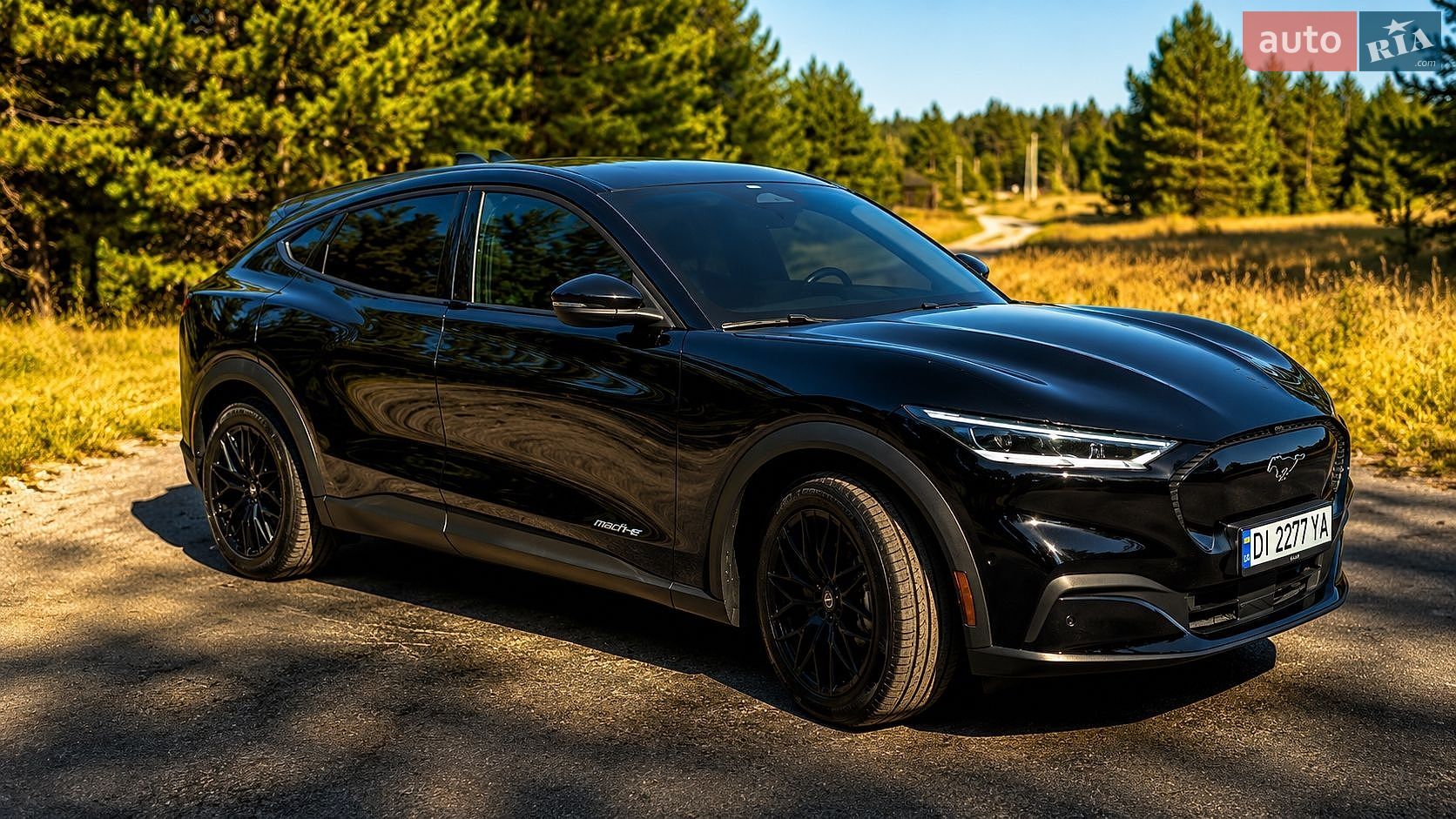 Ford Mustang Mach-E 2021 VIN WF0TK1EM7MMA62339 фото оголошення 3 з 12
