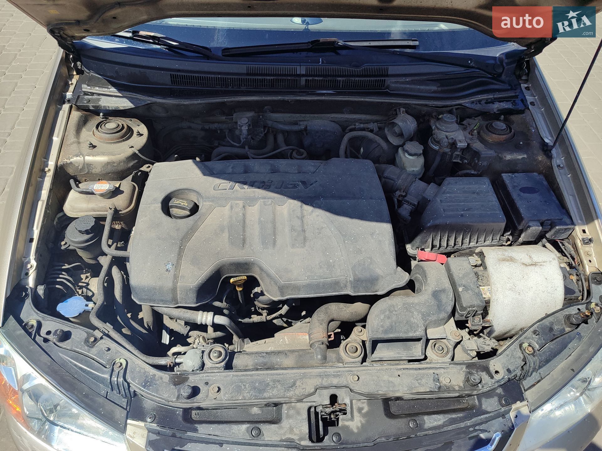 KIA Cerato 2008 VIN Y6LFE22628L014154 фото оголошення 9 з 9