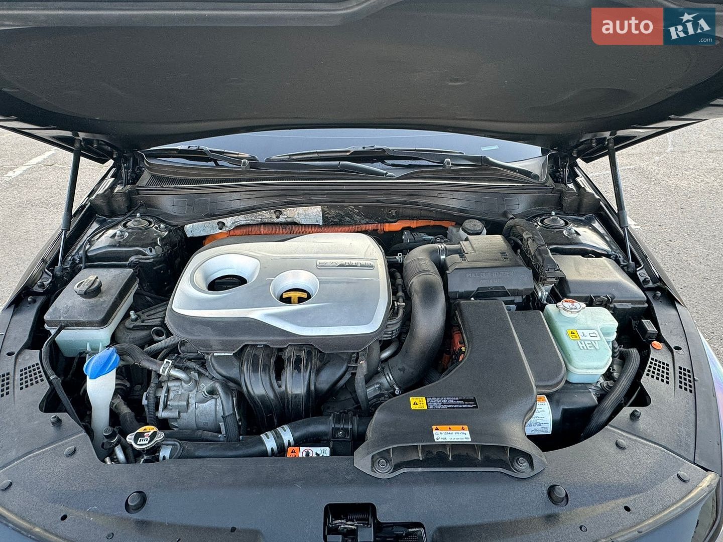 Kia Optima 2019 VIN KNAGV4LD2L5036556 фото оголошення 25 з 25