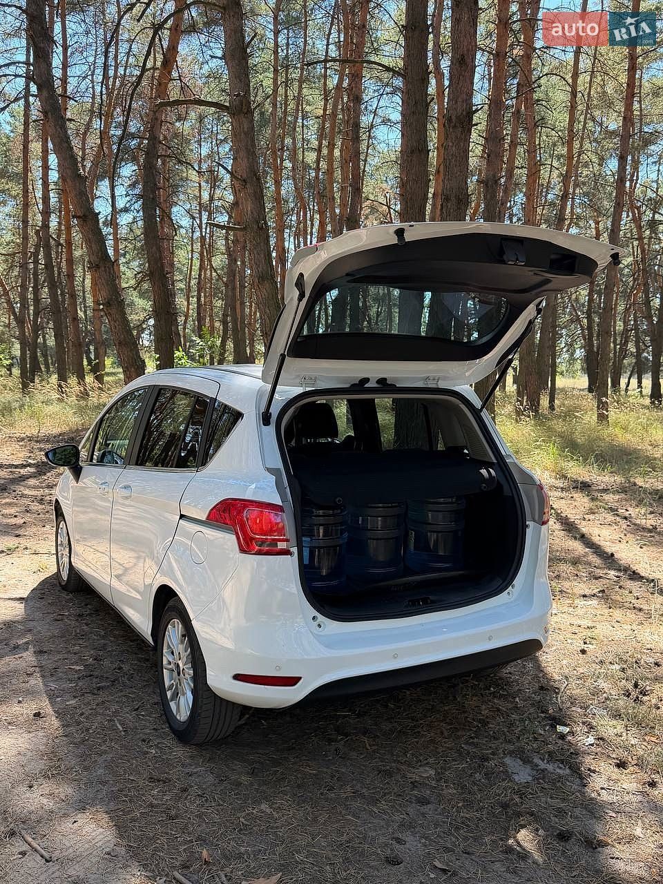 Ford B-Max 2013 VIN WF0KXXERJKDR67569 фото оголошення 15 з 20