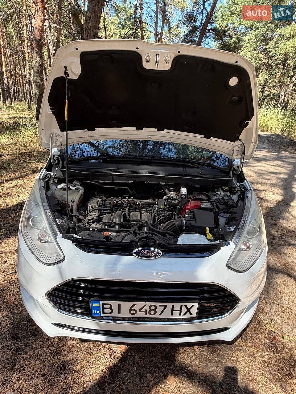 Ford B-Max 2013 VIN WF0KXXERJKDR67569 фото оголошення 19 з 20