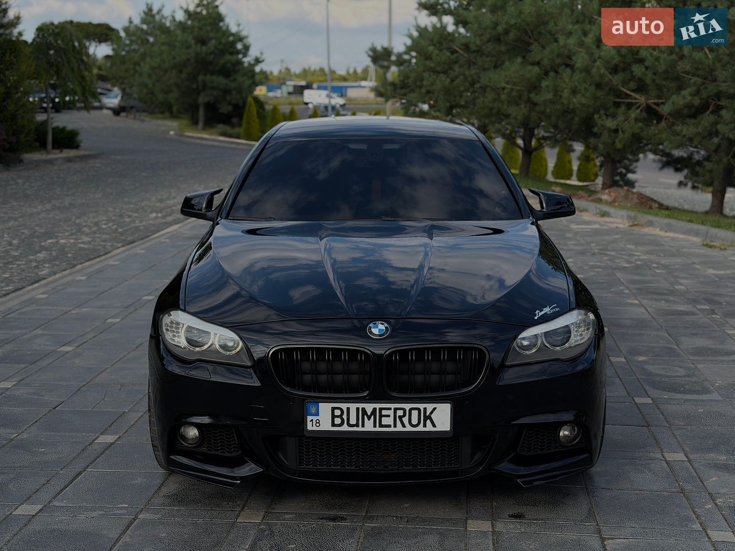 BMW 5 Series 2011 VIN WBAXA11010DW93716 фото оголошення 23 з 24