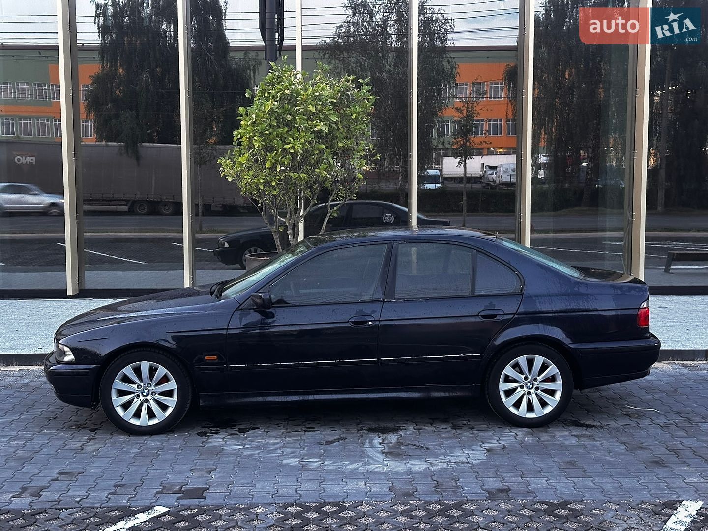 BMW 5 Series 2000 VIN WBADL81030GX41950 фото оголошення 11 з 13