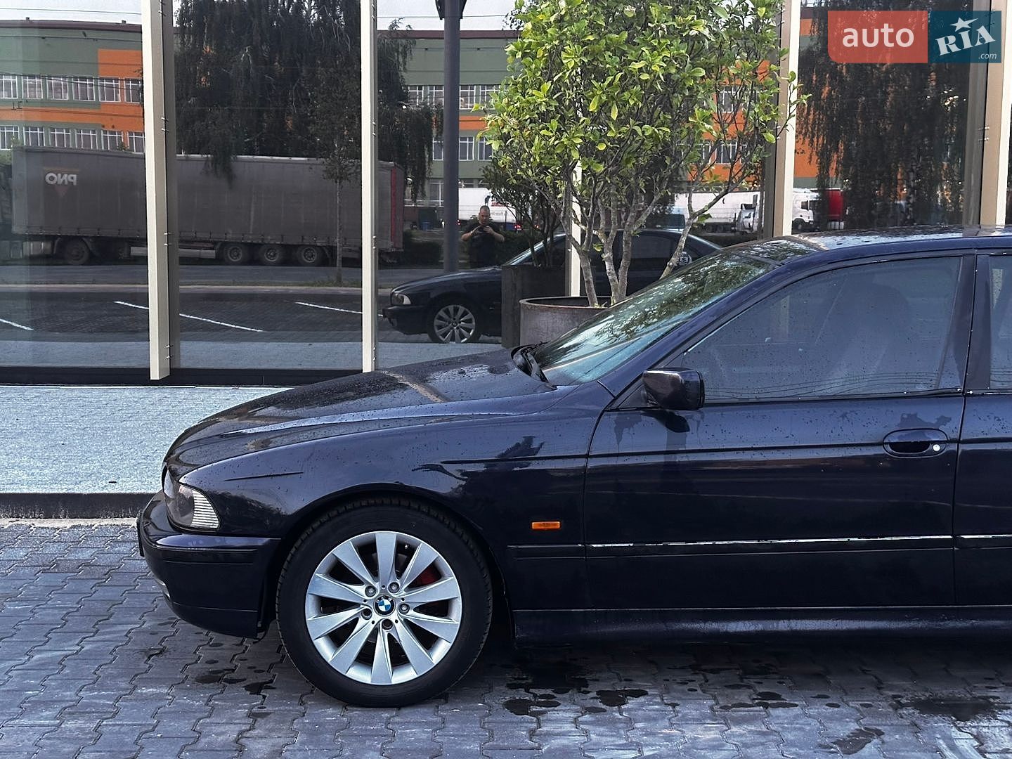BMW 5 Series 2000 VIN WBADL81030GX41950 фото оголошення 12 з 13