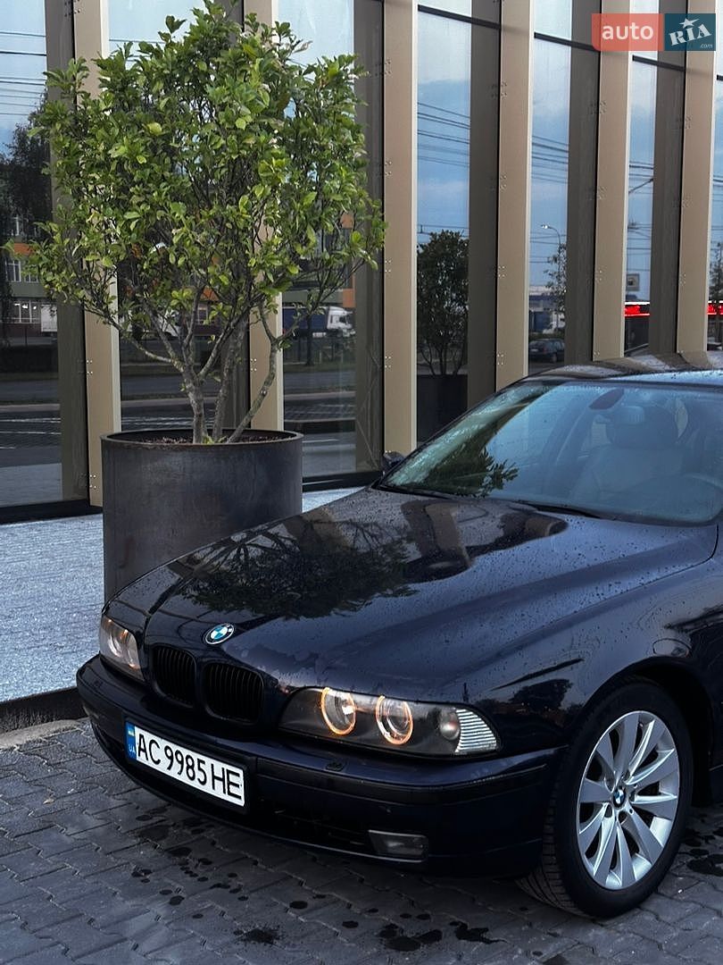 BMW 5 Series 2000 VIN WBADL81030GX41950 фото оголошення 13 з 13
