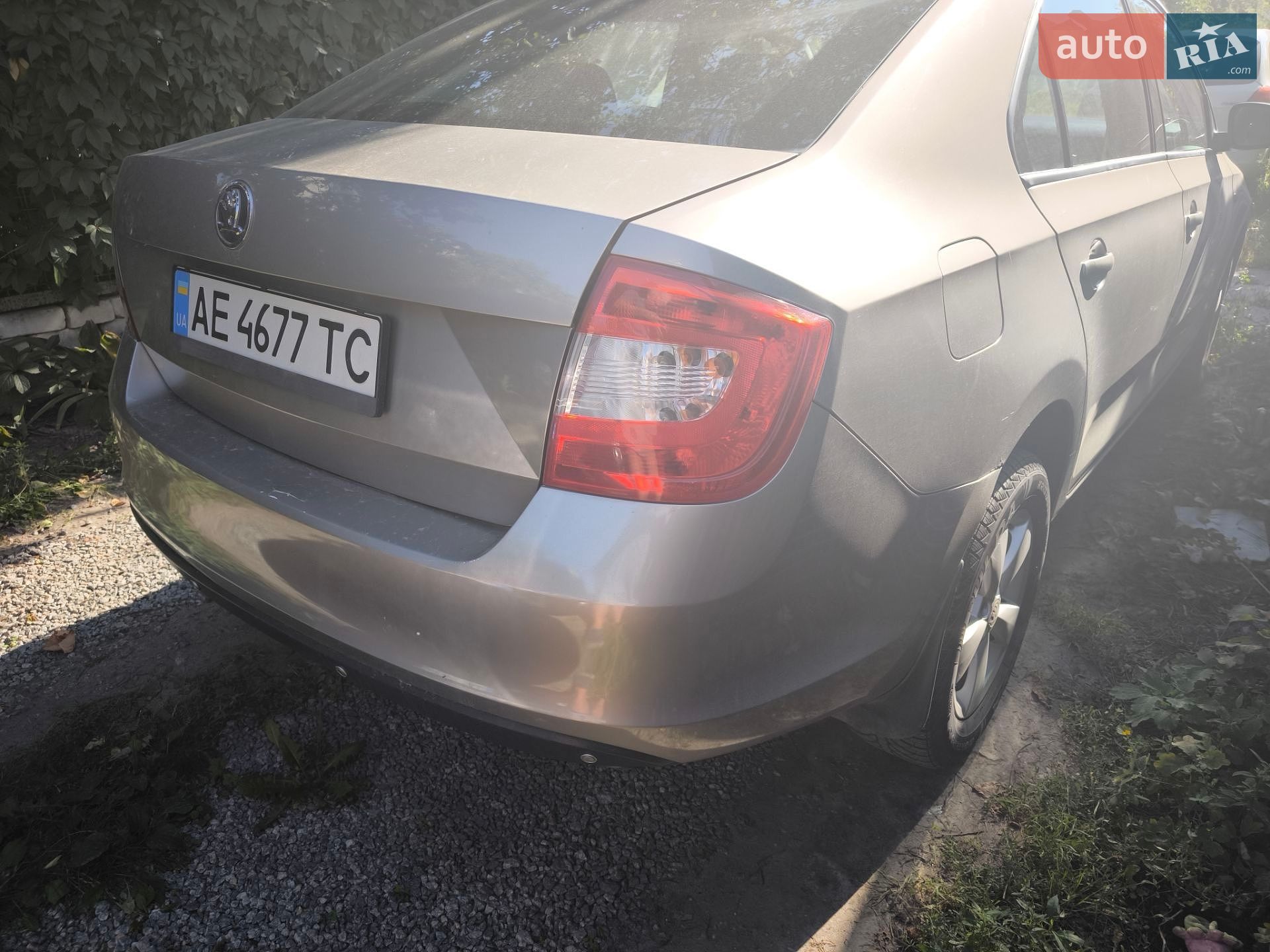 Skoda Rapid 2013 VIN TMBAD4NH3DB101008 фото оголошення 10 з 10