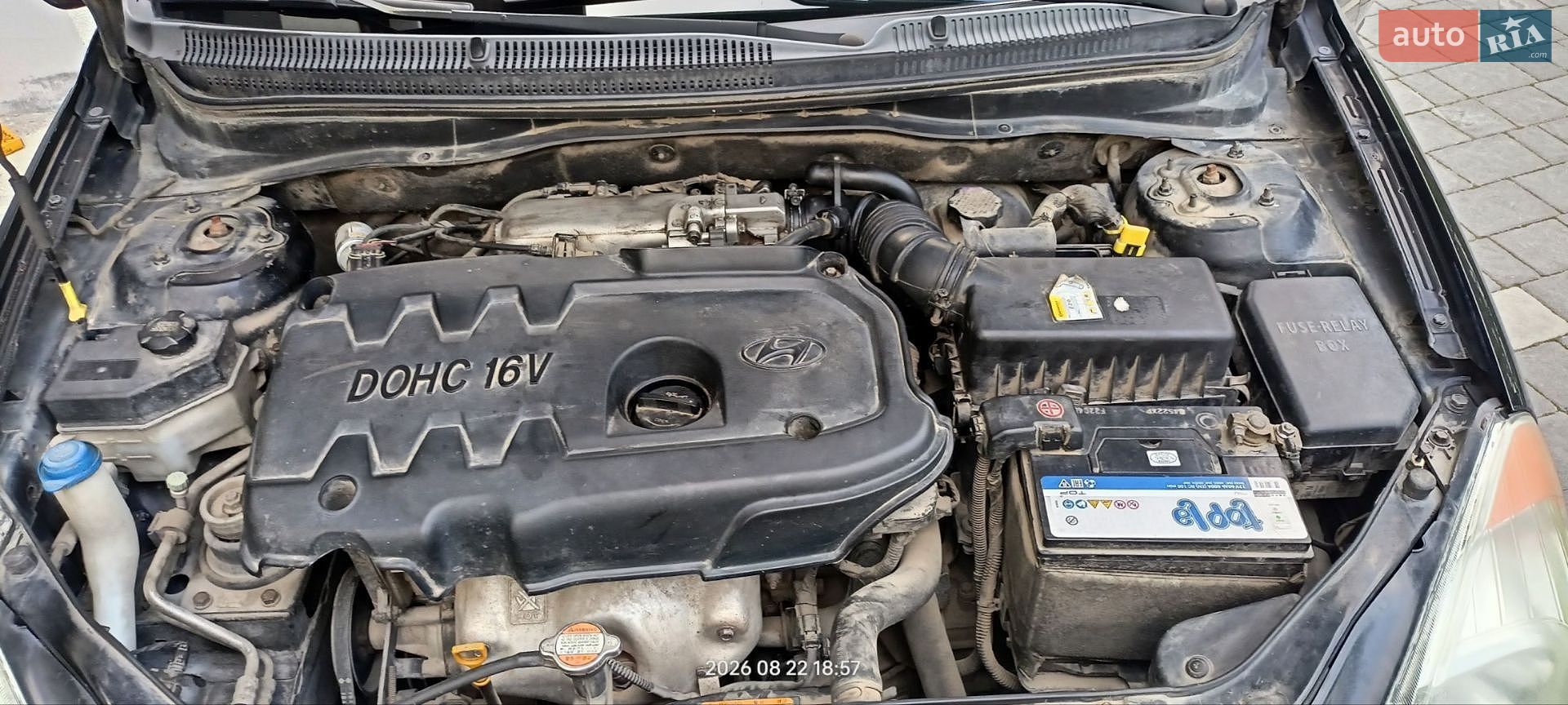 Hyundai Accent 2008 VIN NLHCM41AP9Z133233 фото оголошення 26 з 29