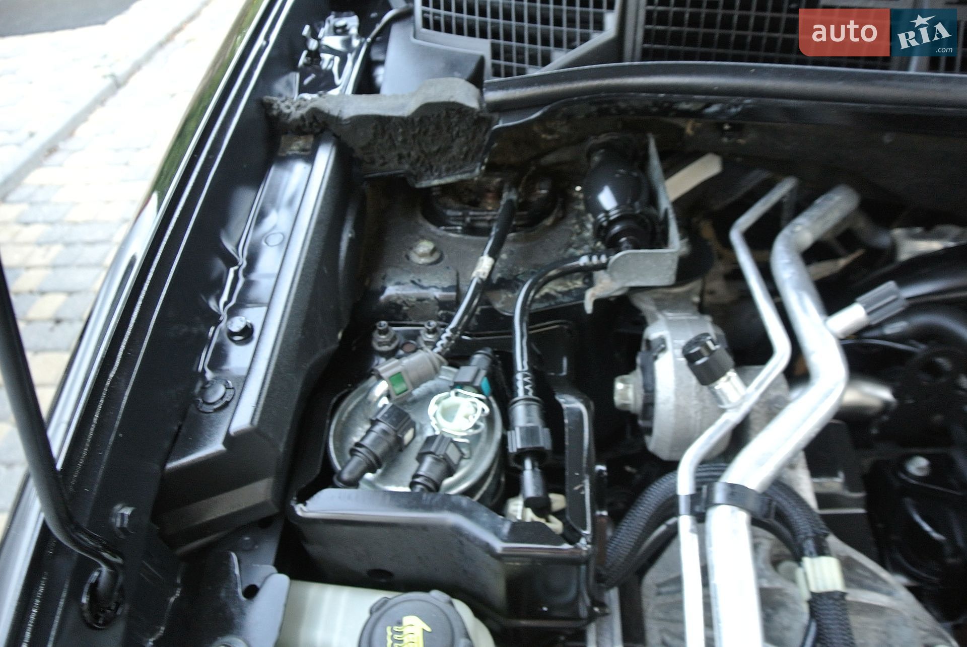 Nissan Qashqai 2011 VIN SJNFCAJ10U2372891 фото оголошення 46 з 82