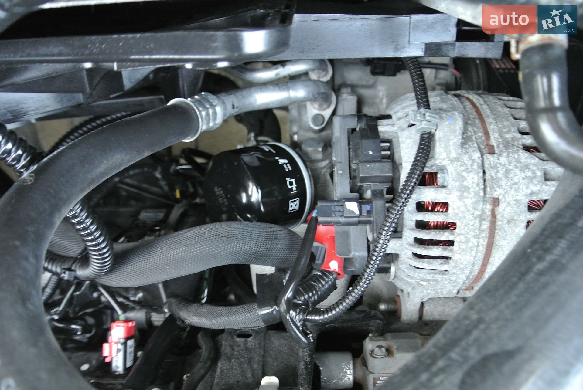 Nissan Qashqai 2011 VIN SJNFCAJ10U2372891 фото оголошення 51 з 82
