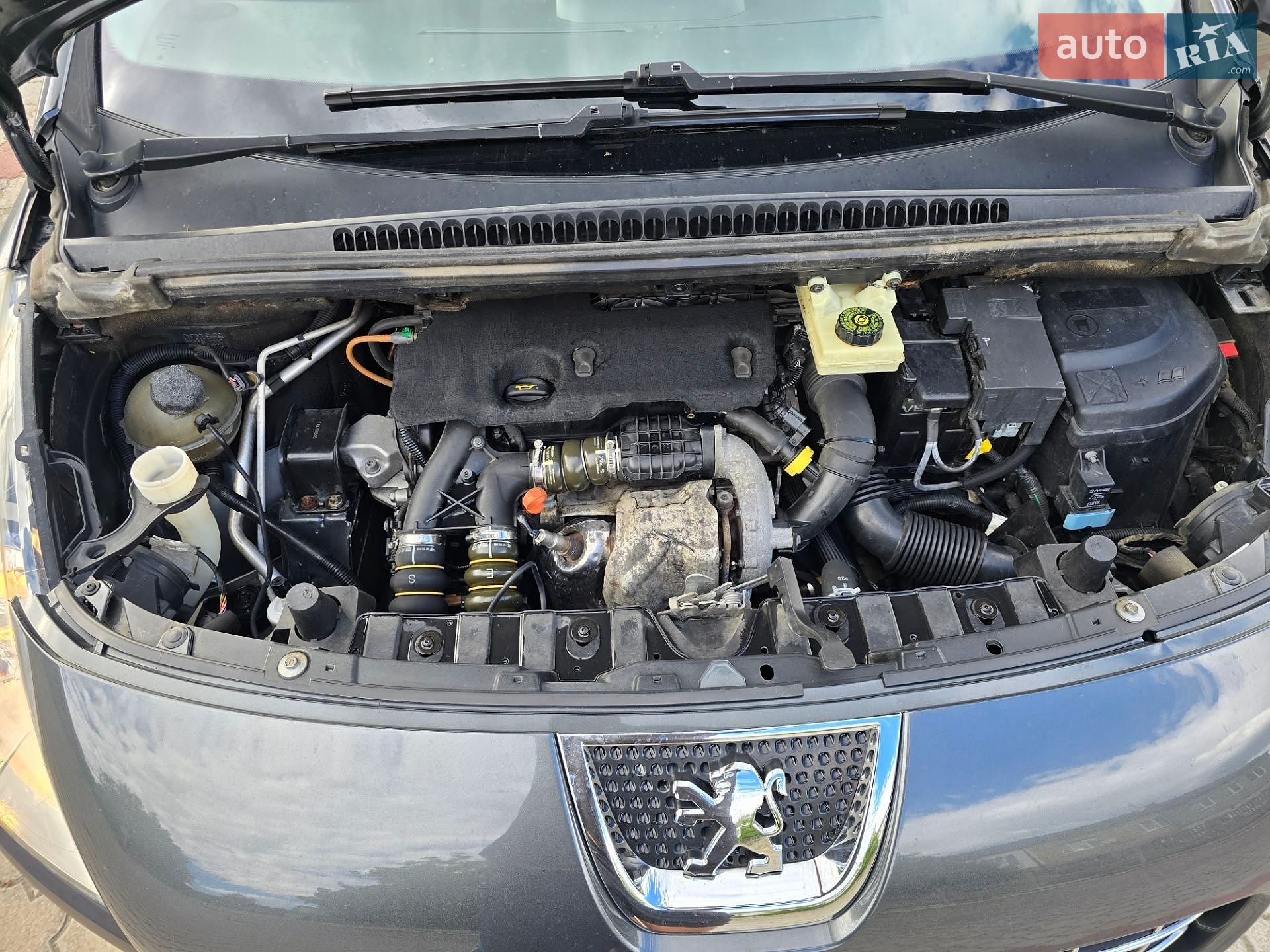Peugeot 3008 2011 VIN VF30U9HR8BS014220 фото оголошення 18 з 18