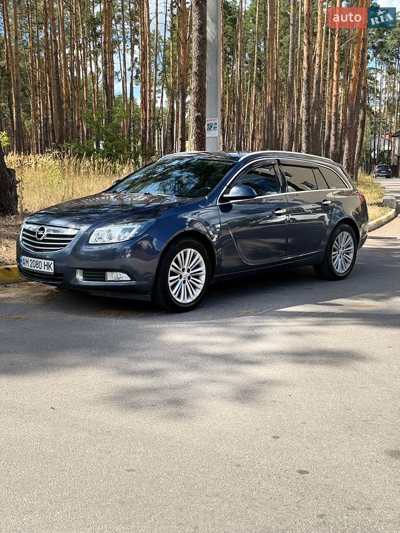 Opel Insignia 2009 VIN W0LGM87M091105234 фото оголошення 11 з 22