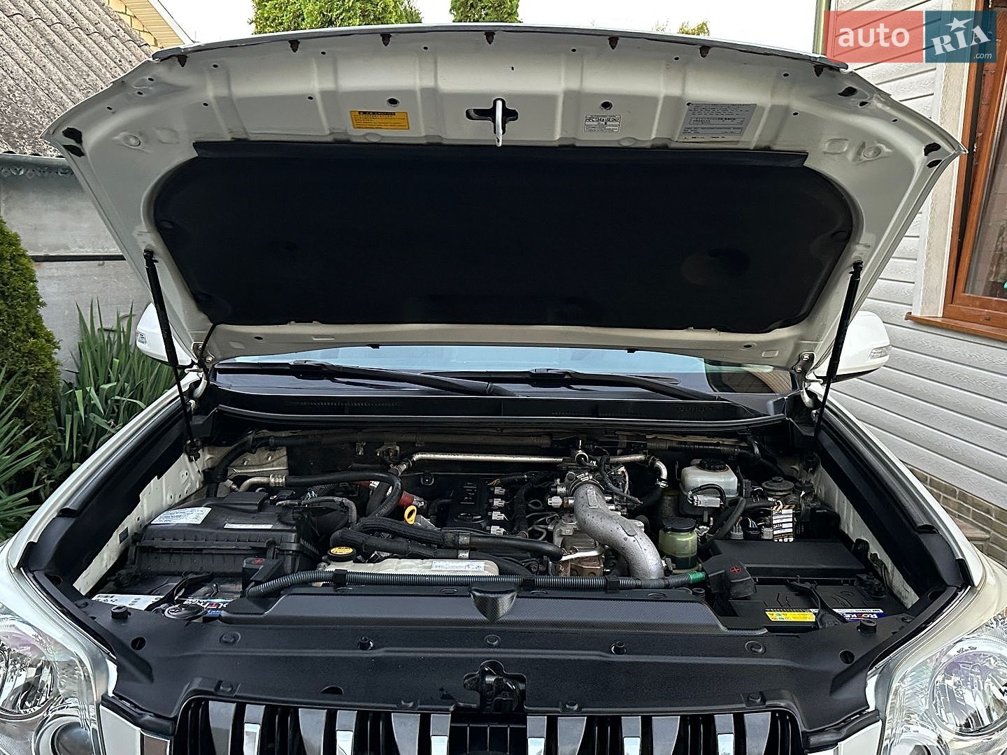 Toyota Land Cruiser Prado 2010 VIN JTEBH3FJ60K022801 фото оголошення 25 з 46