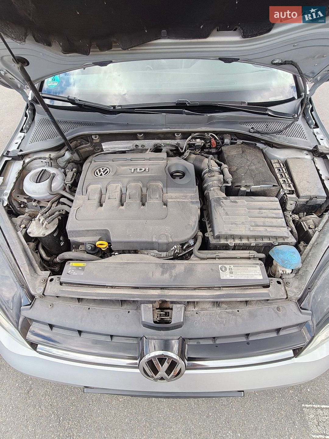 Volkswagen Golf 2016 VIN WVWZZZAUZGP633410 фото оголошення 42 з 47