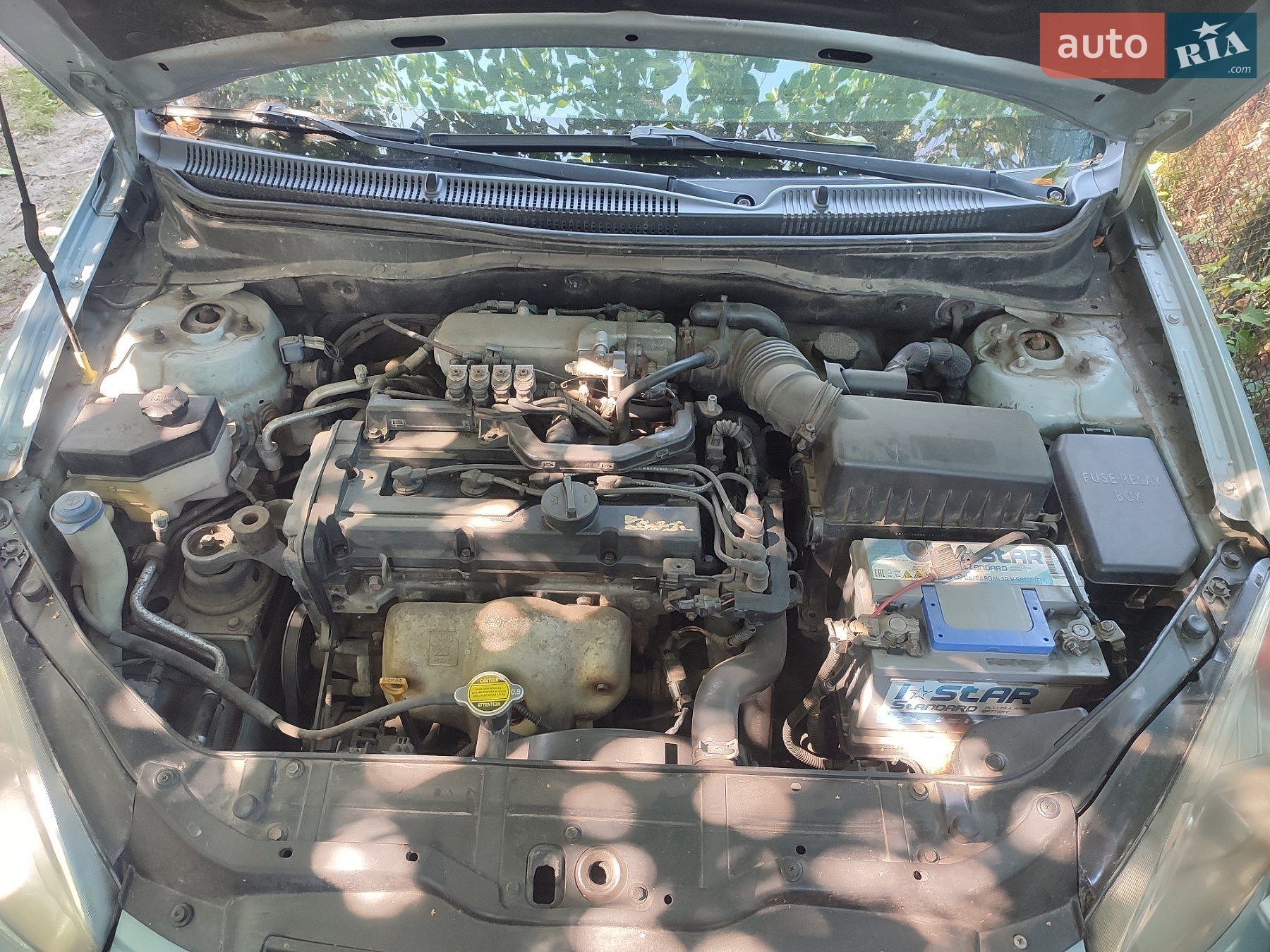 Hyundai Accent 2008 VIN Y6LCM41AP8L201750 фото оголошення 18 з 18