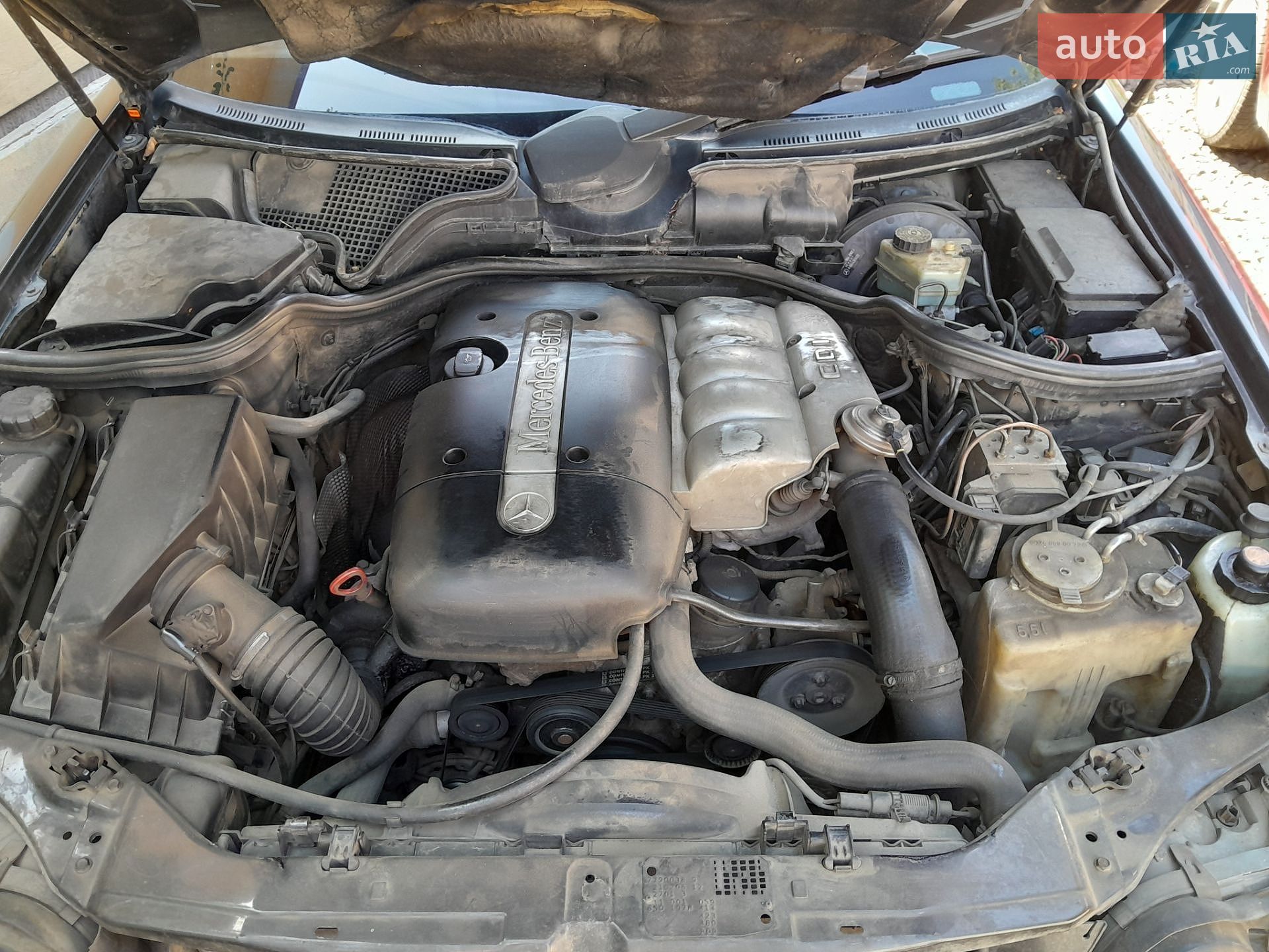 Mercedes-Benz E-Class 1999 VIN WDB2102061A852927 фото оголошення 10 з 10