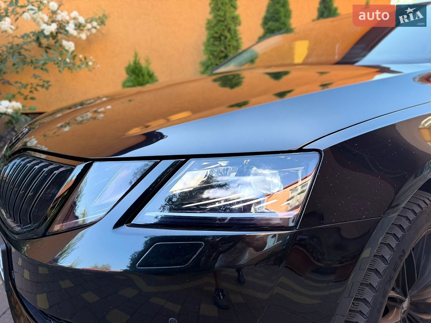 Skoda Octavia 2017 VIN TMBJG7NE0J0028086 фото оголошення 18 з 22