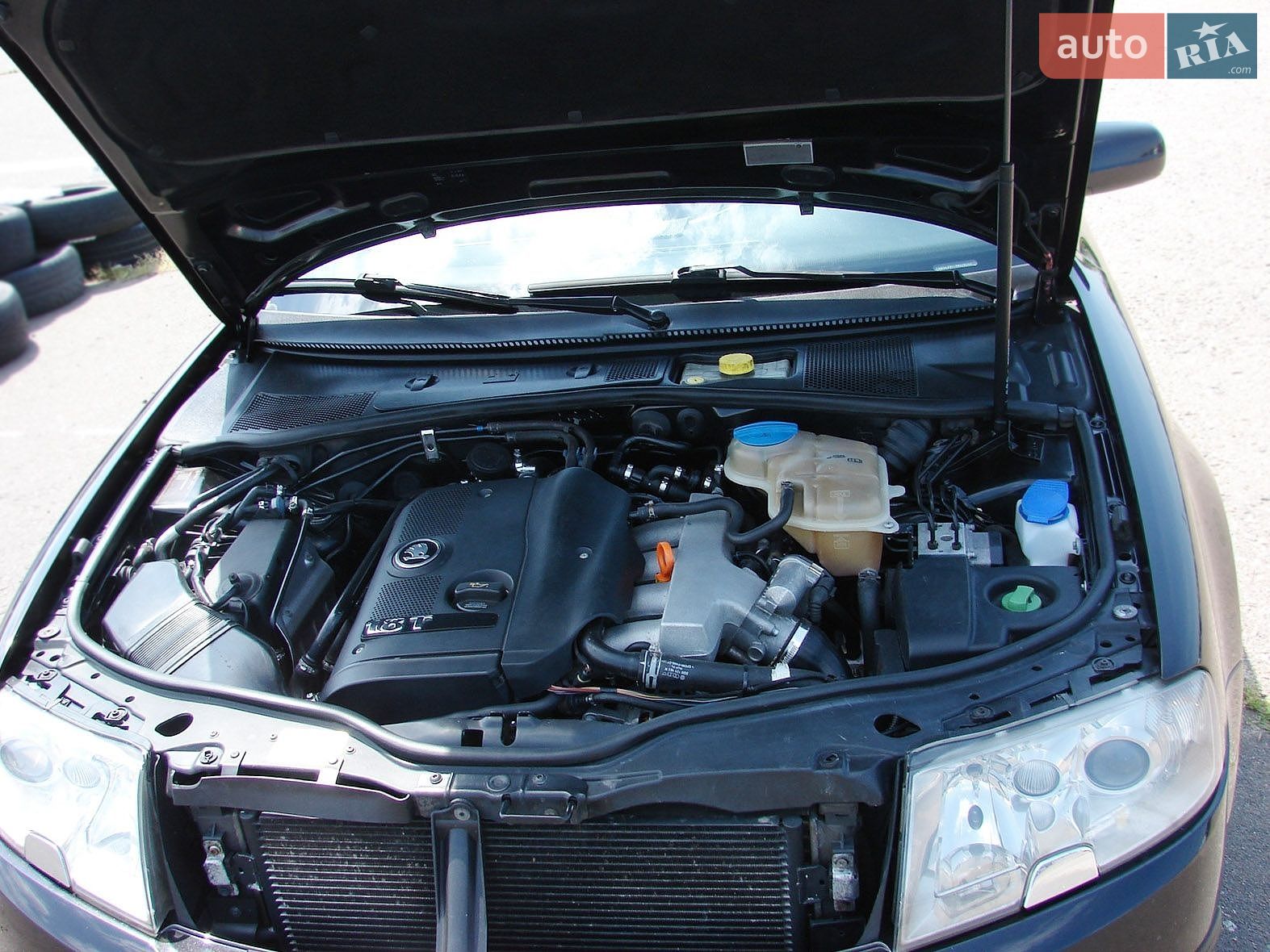 Skoda Superb 2005 VIN Y6UDL23U16B046209 фото оголошення 19 з 21