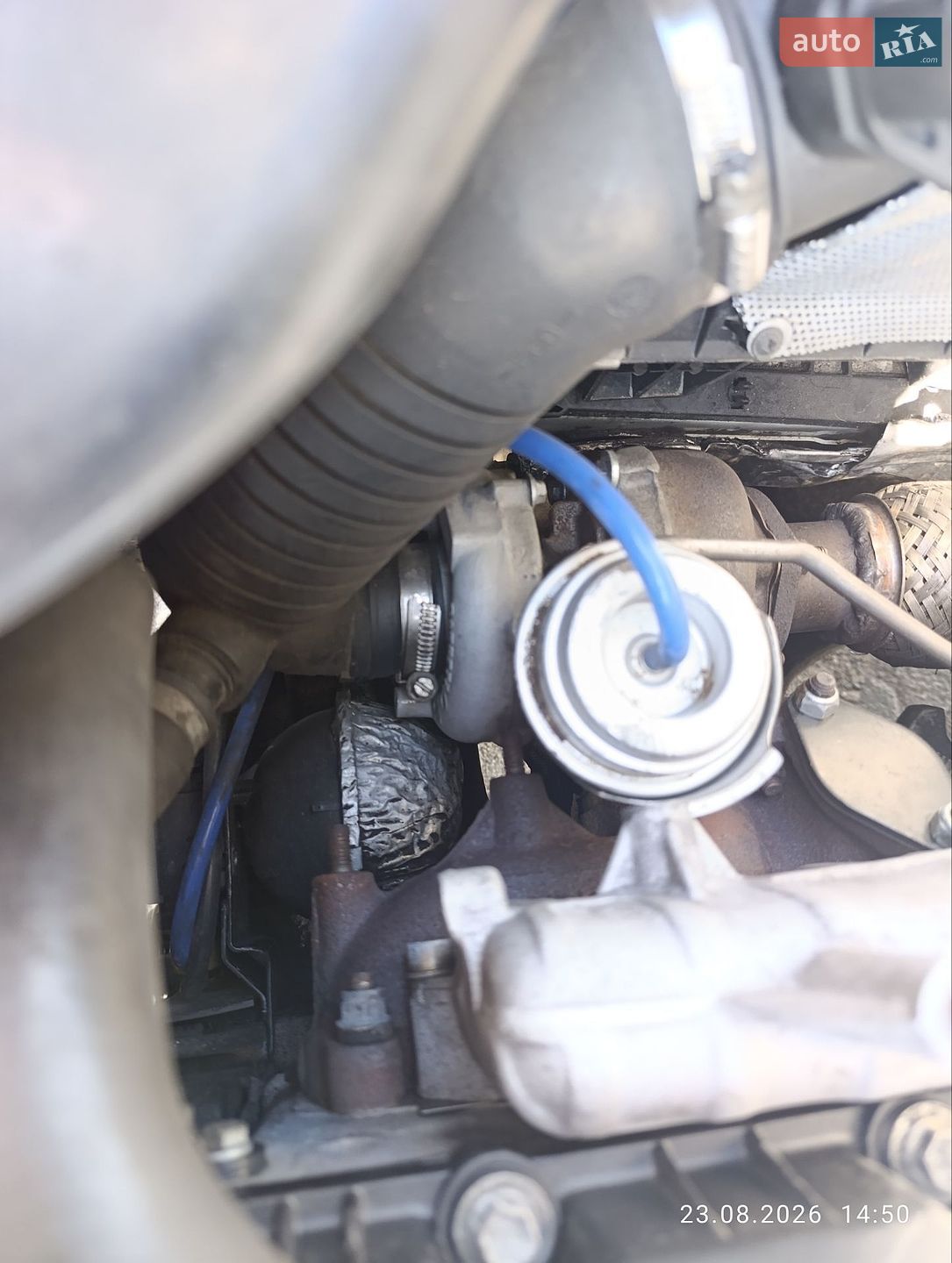Volkswagen Passat 2002 VIN WVWZZZ3BZ3E136660 фото оголошення 5 з 22