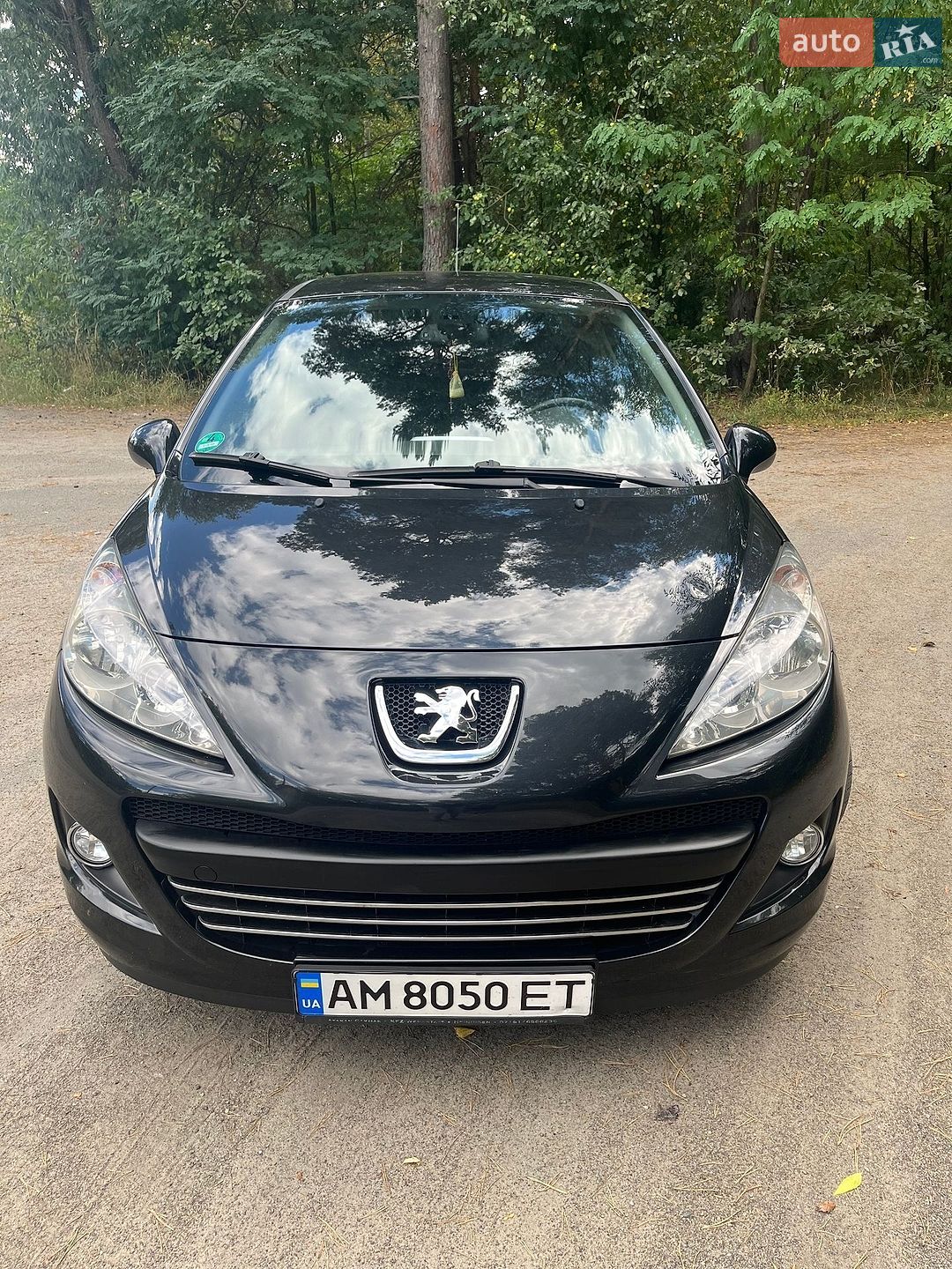 Peugeot 207 2010 VIN VF3WA8FP0AT077598 фото оголошення 6 з 29