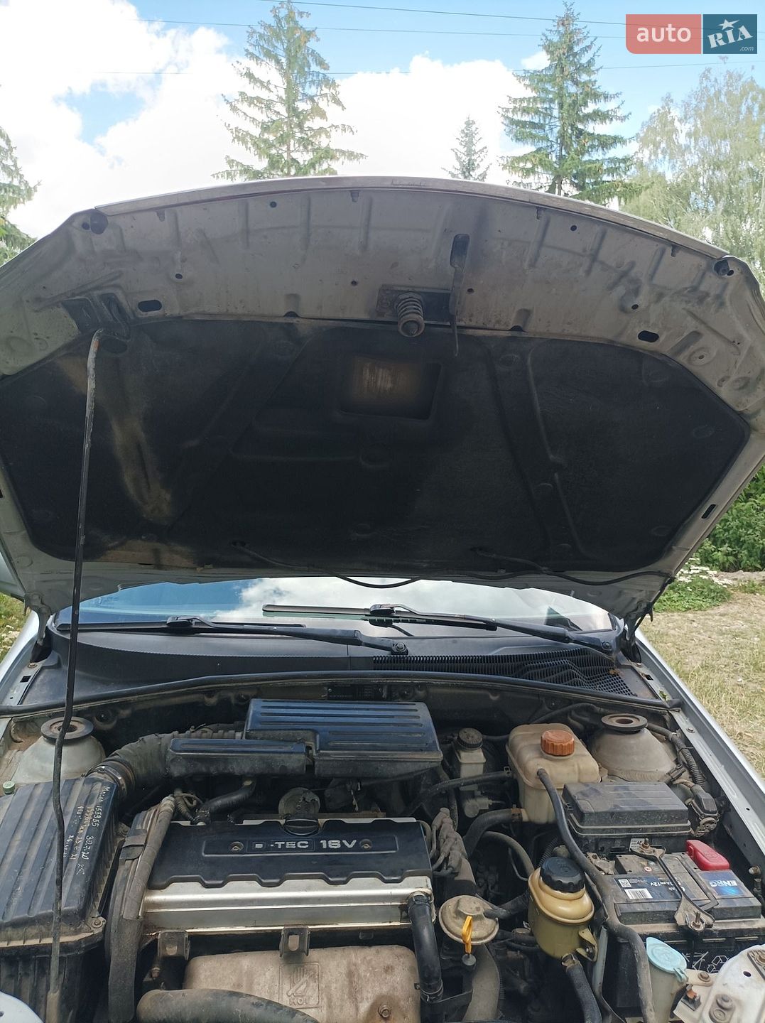 Chevrolet Lacetti 2005 VIN Y6DNF353E5K145662 фото оголошення 19 з 19