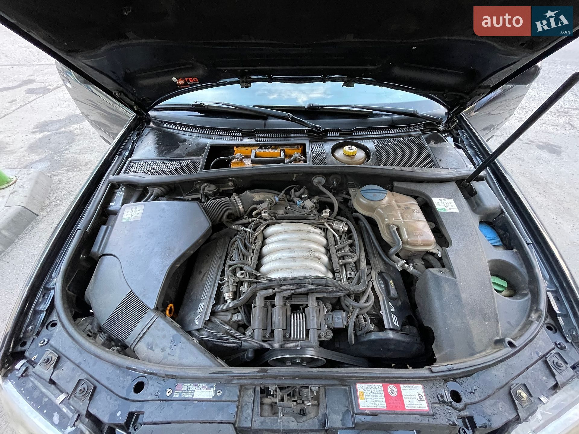 Audi A6 1998 VIN WAUZZZ4BZXN016998 фото оголошення 11 з 11