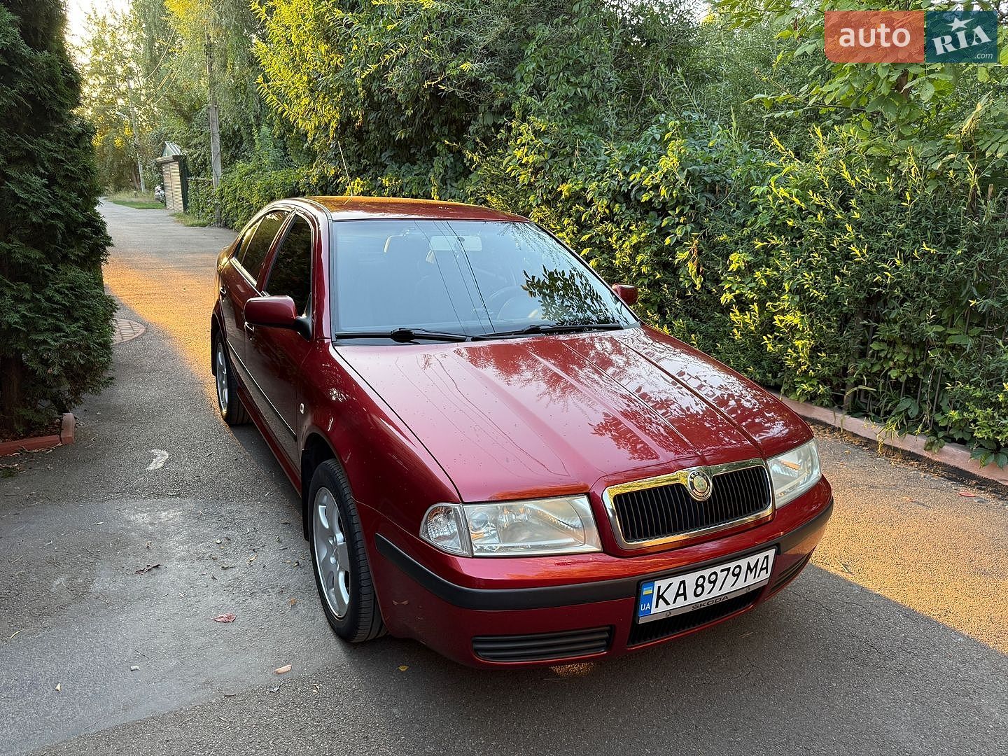 Skoda Octavia 2006 VIN TMBDK41U37B007608 фото оголошення 19 з 21
