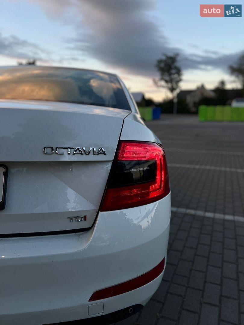 Skoda Octavia 2013 VIN TMBAJ7NE4E0034528 фото оголошення 14 з 21