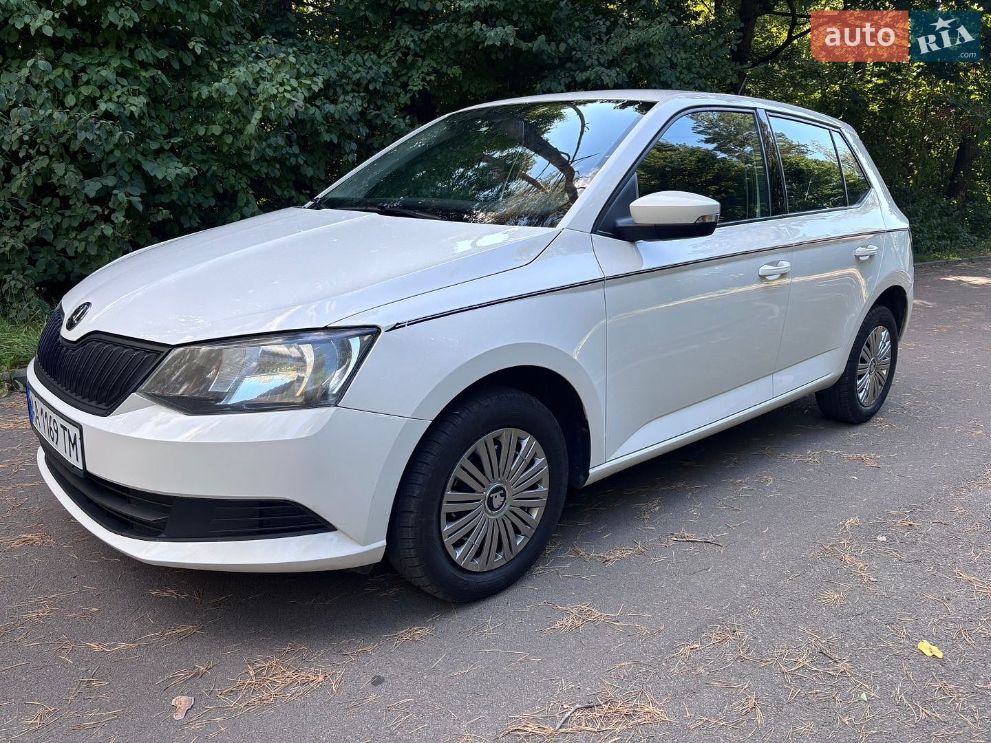 Skoda Fabia 2018 VIN TMBEB2NJXJB500573 фото оголошення 13 з 32