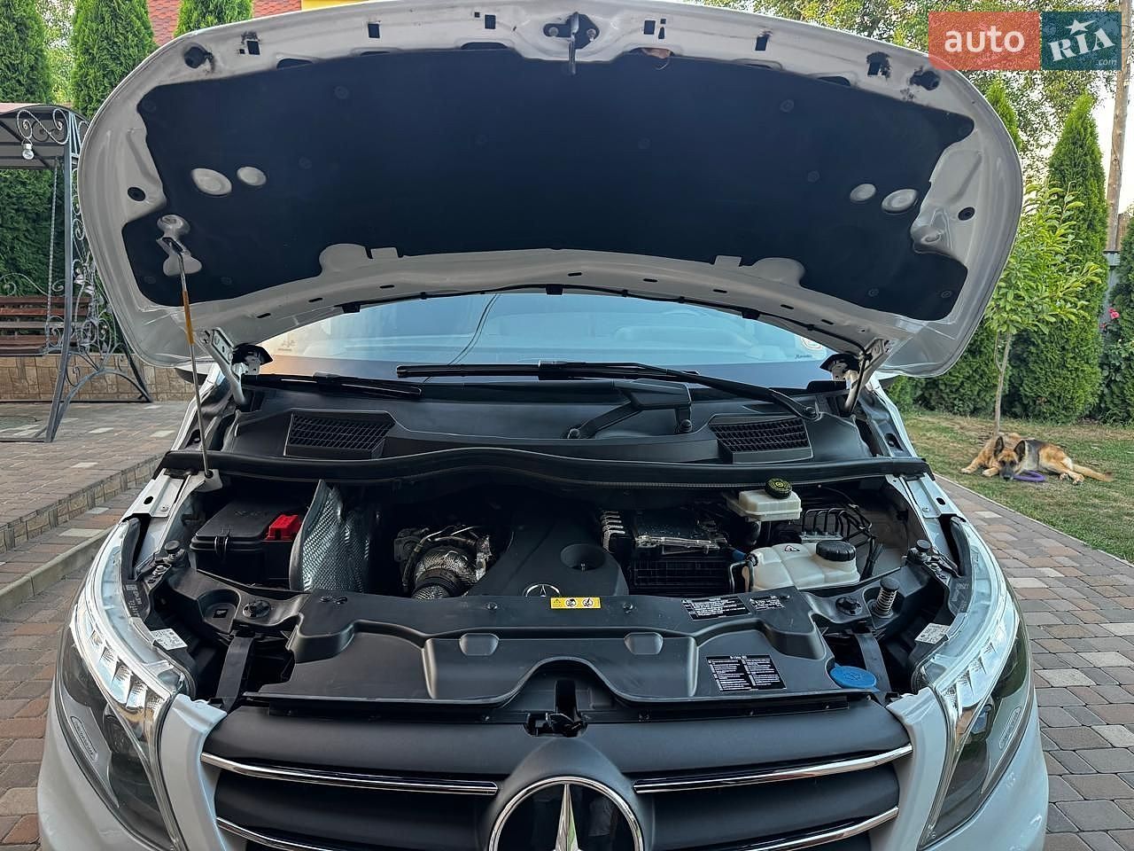Mercedes-Benz Vito 2022 VIN W1V44760313955185 фото оголошення 58 з 64