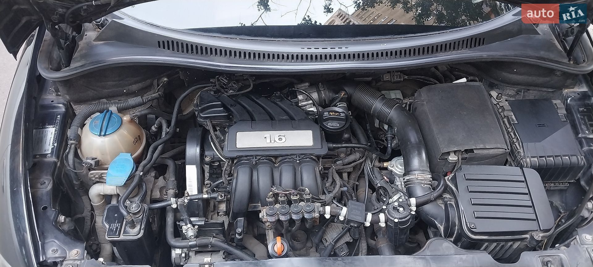 SEAT Toledo 2008 VIN VSSZZZ5PZ8Z000374 фото оголошення 15 з 30