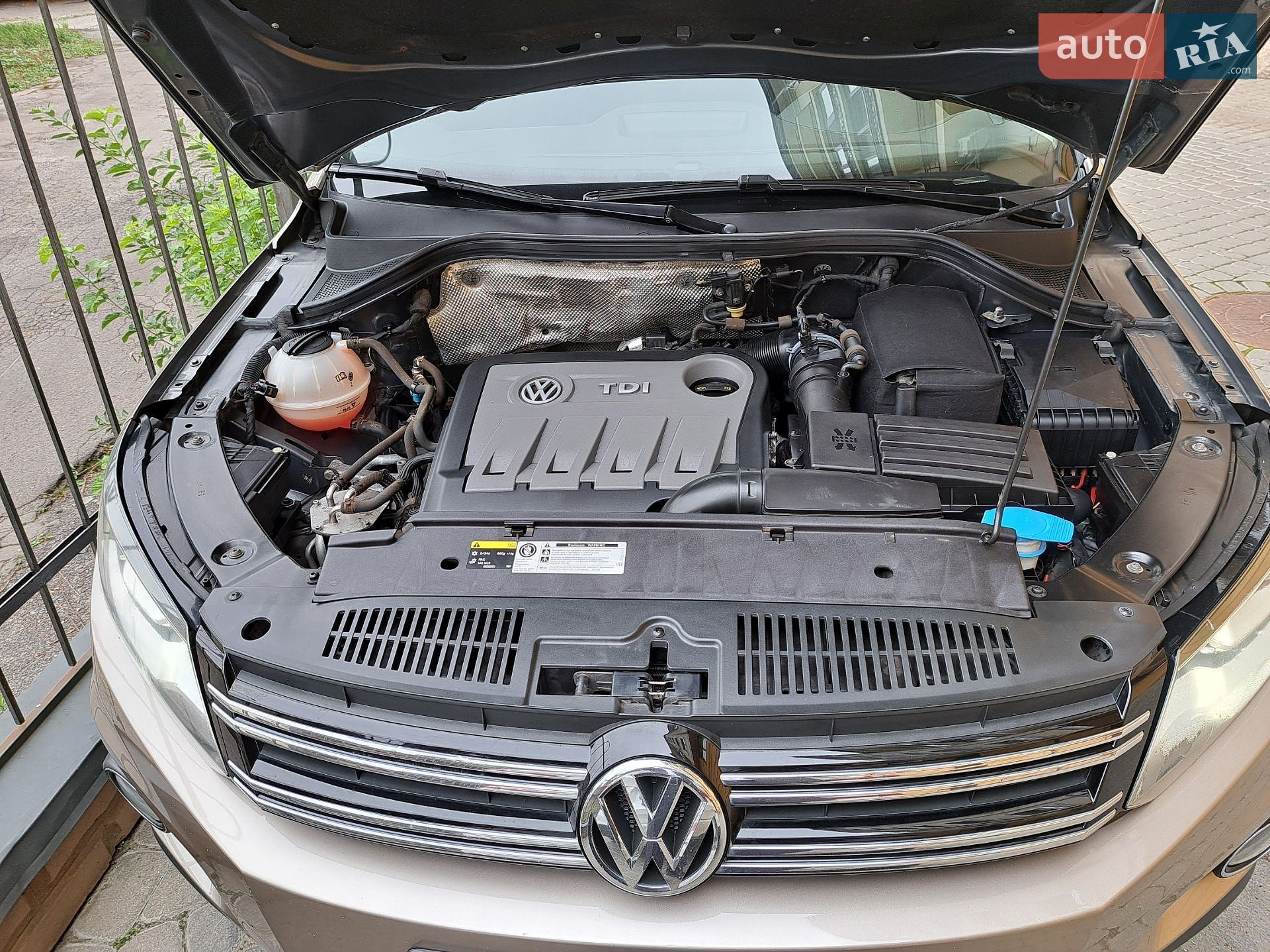 Volkswagen Tiguan 2013 VIN WVGZZZ5NZEW037369 фото оголошення 6 з 25