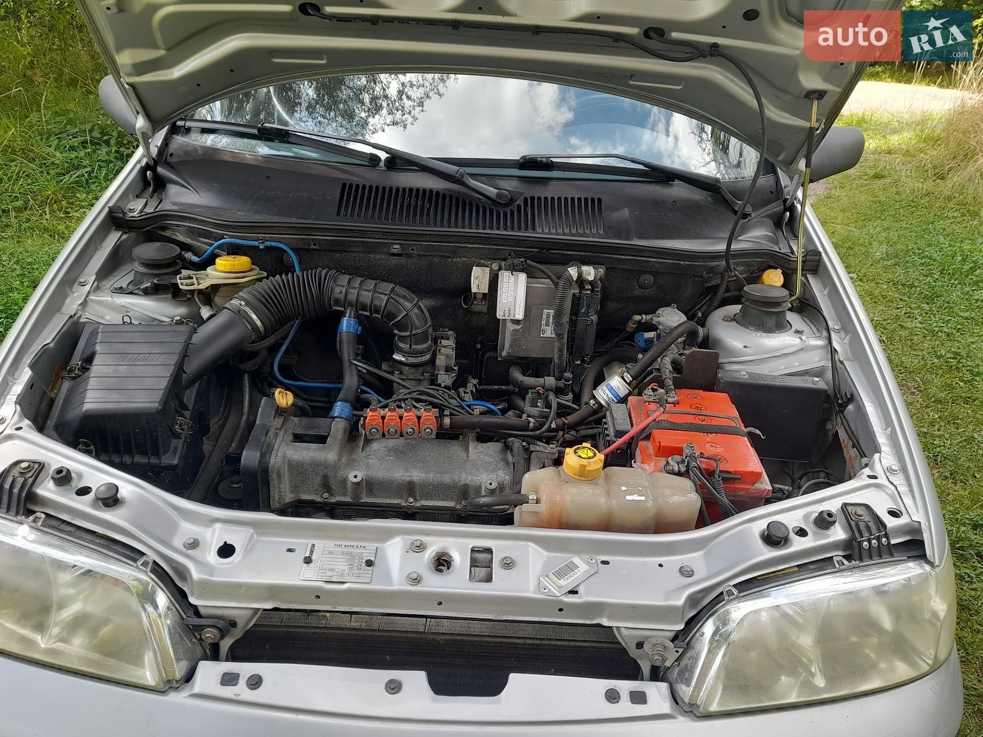 Fiat Palio 2005 VIN 9BD17156342527499 фото оголошення 14 з 14