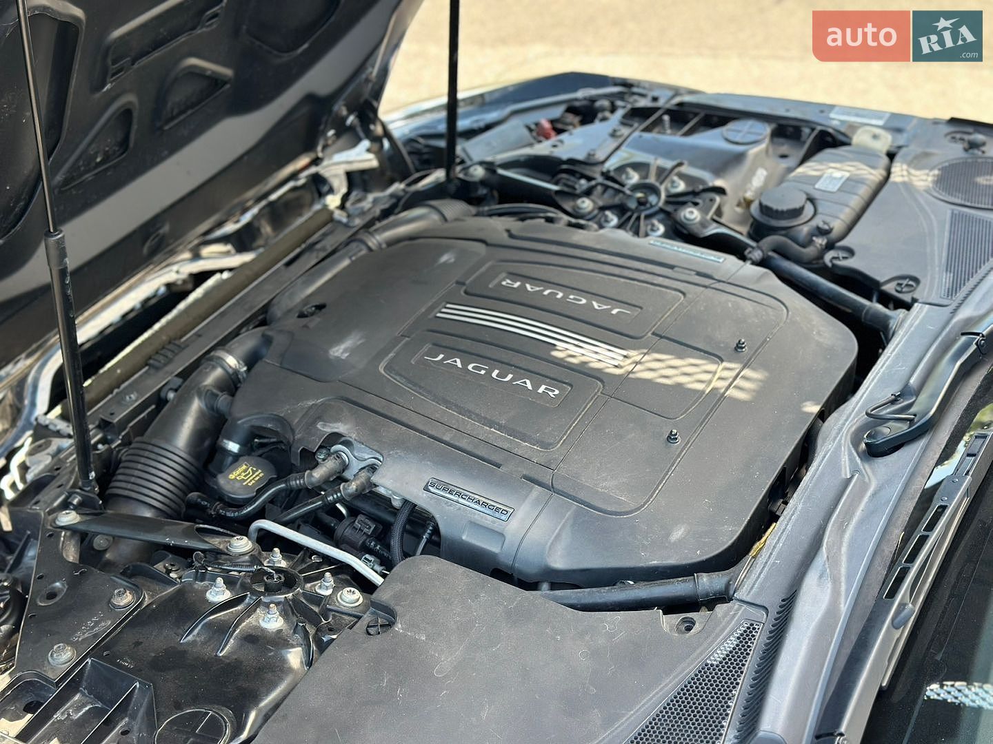 Jaguar F-Type 2013 VIN SAJWA6GLXEMK03375 фото оголошення 66 з 104