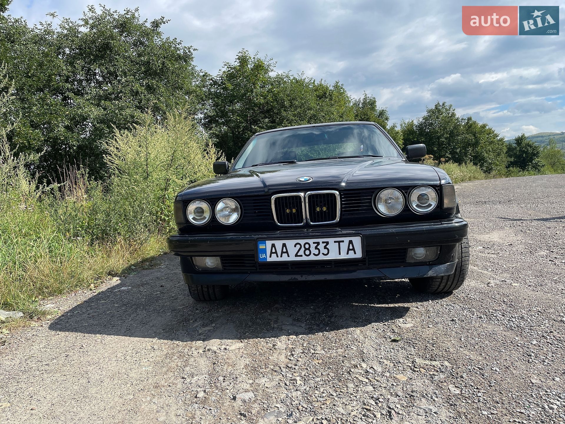 BMW 7 Series 1991 VIN WBAGA81080DA21700 фото оголошення 6 з 12