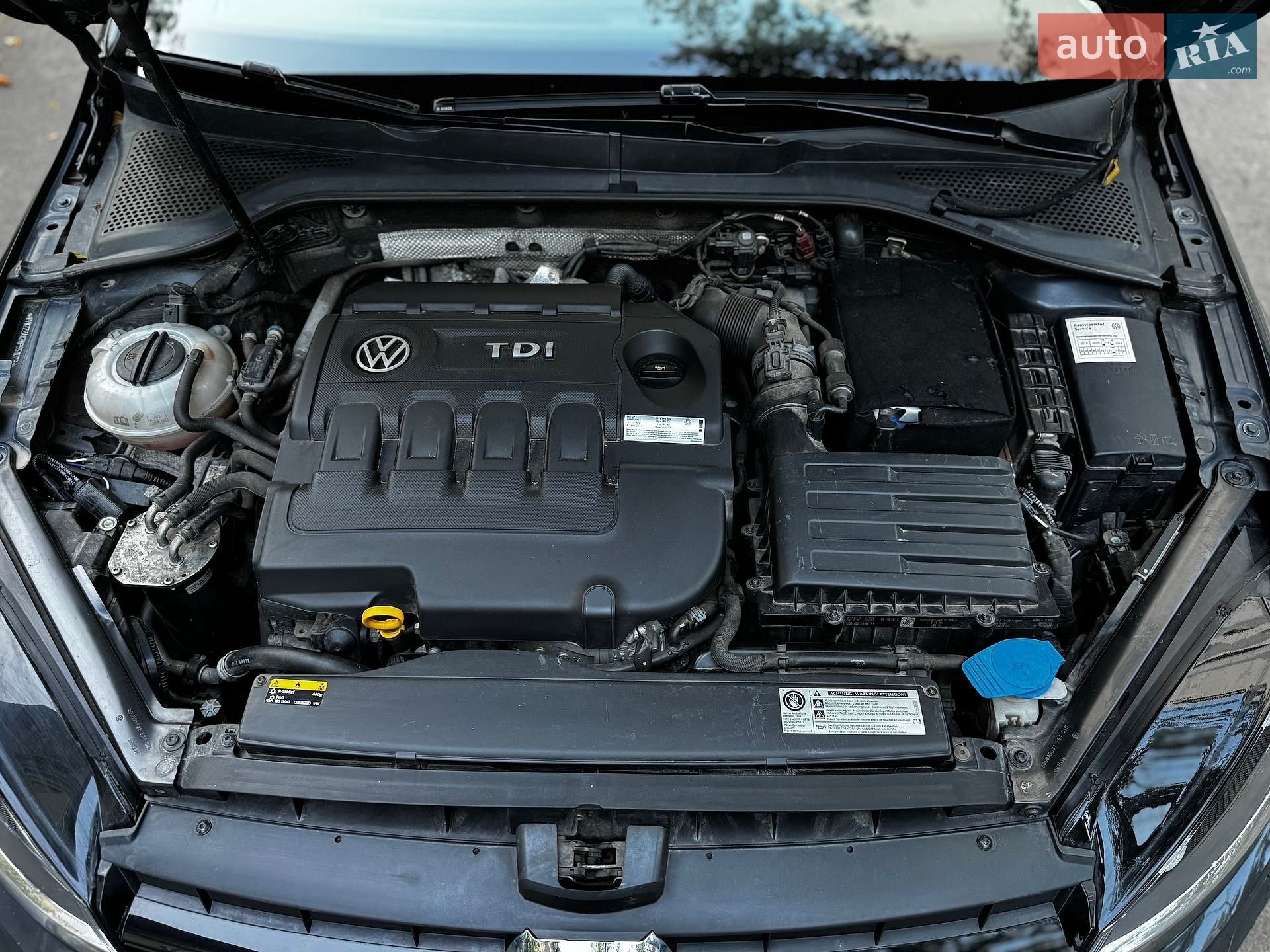 Volkswagen Golf 2016 VIN WVWZZZAUZHP551079 фото оголошення 62 з 63