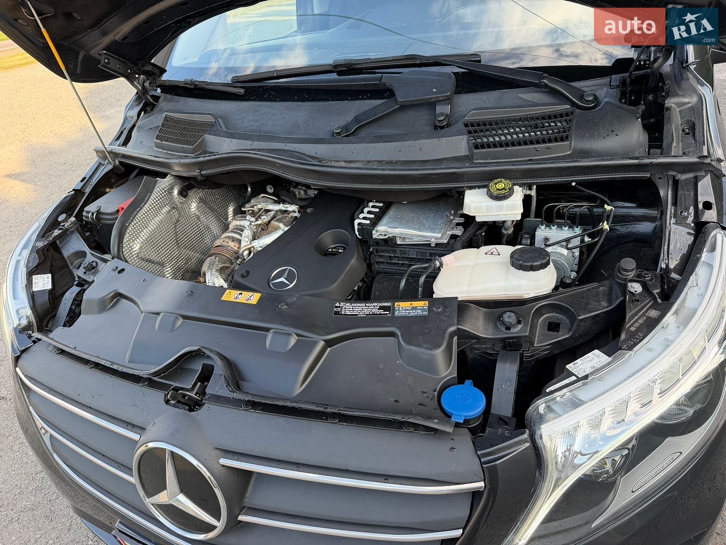 Mercedes-Benz Vito 2021 VIN W1V44760313888378 фото оголошення 48 з 71